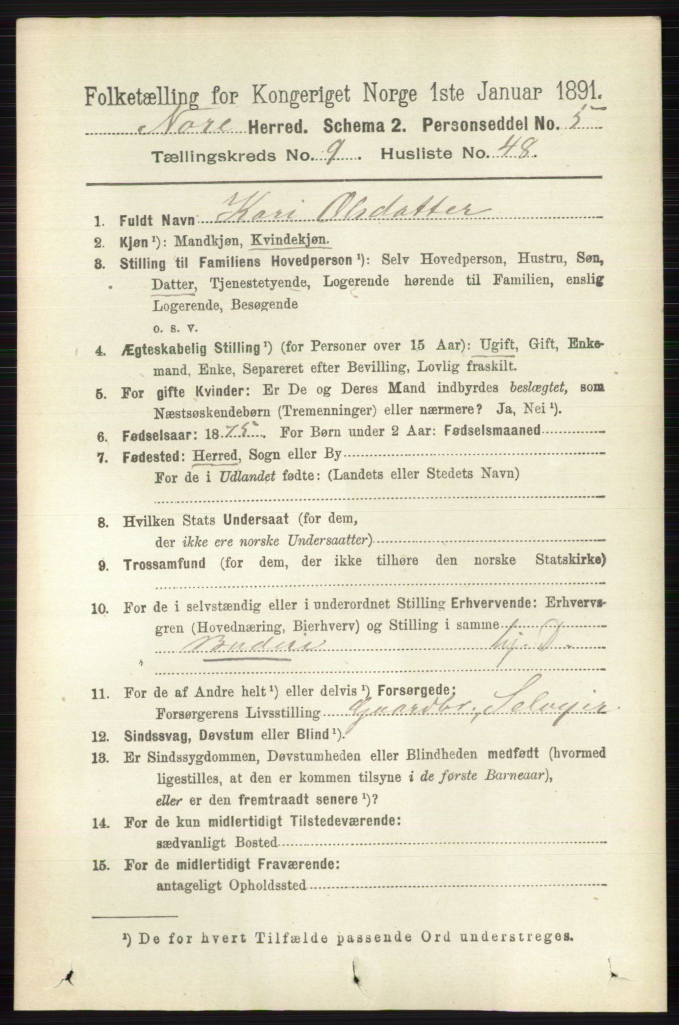 RA, 1891 census for 0633 Nore, 1891, p. 3493