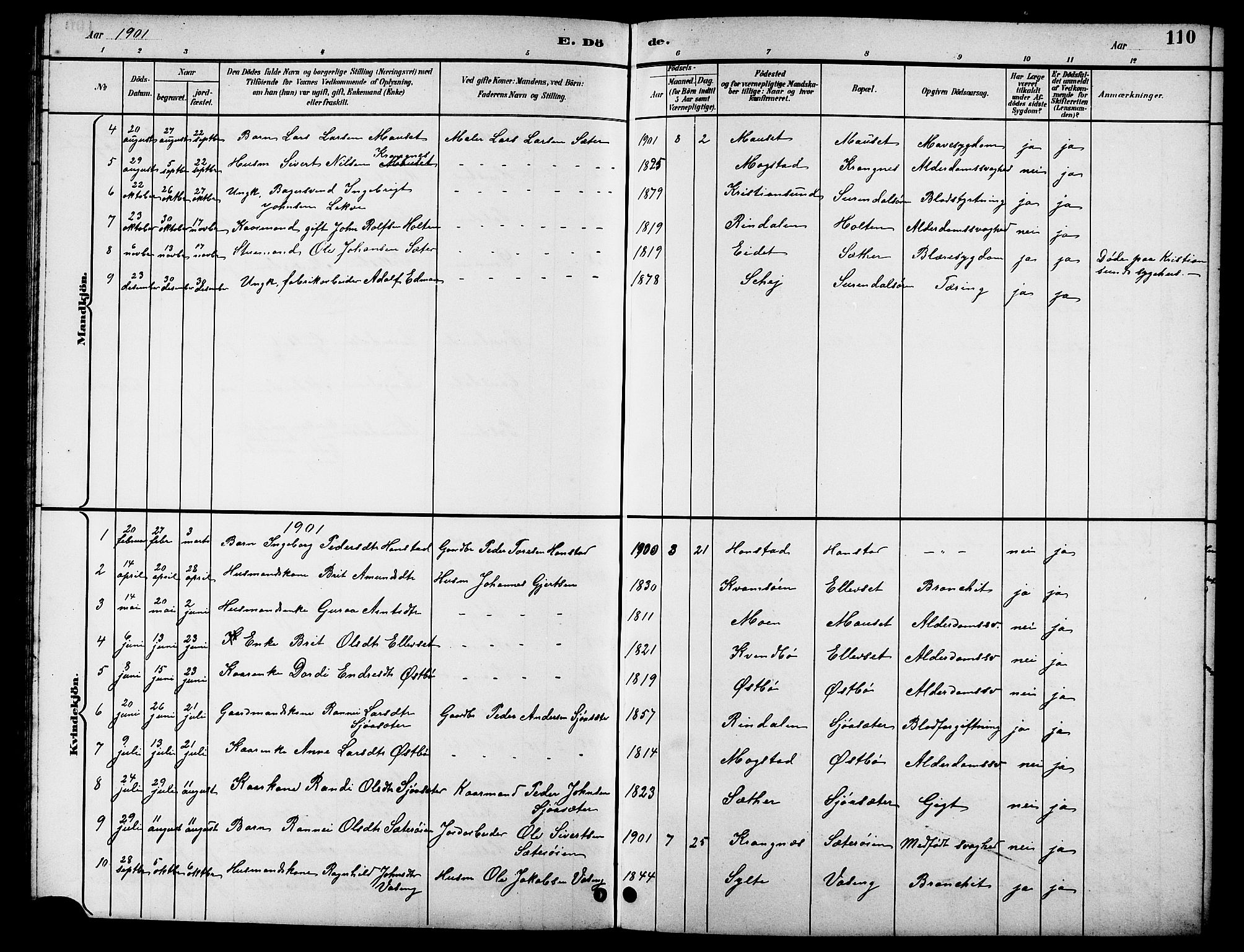 Ministerialprotokoller, klokkerbøker og fødselsregistre - Møre og Romsdal, AV/SAT-A-1454/596/L1058: Parish register (copy) no. 596C01, 1891-1907, p. 110