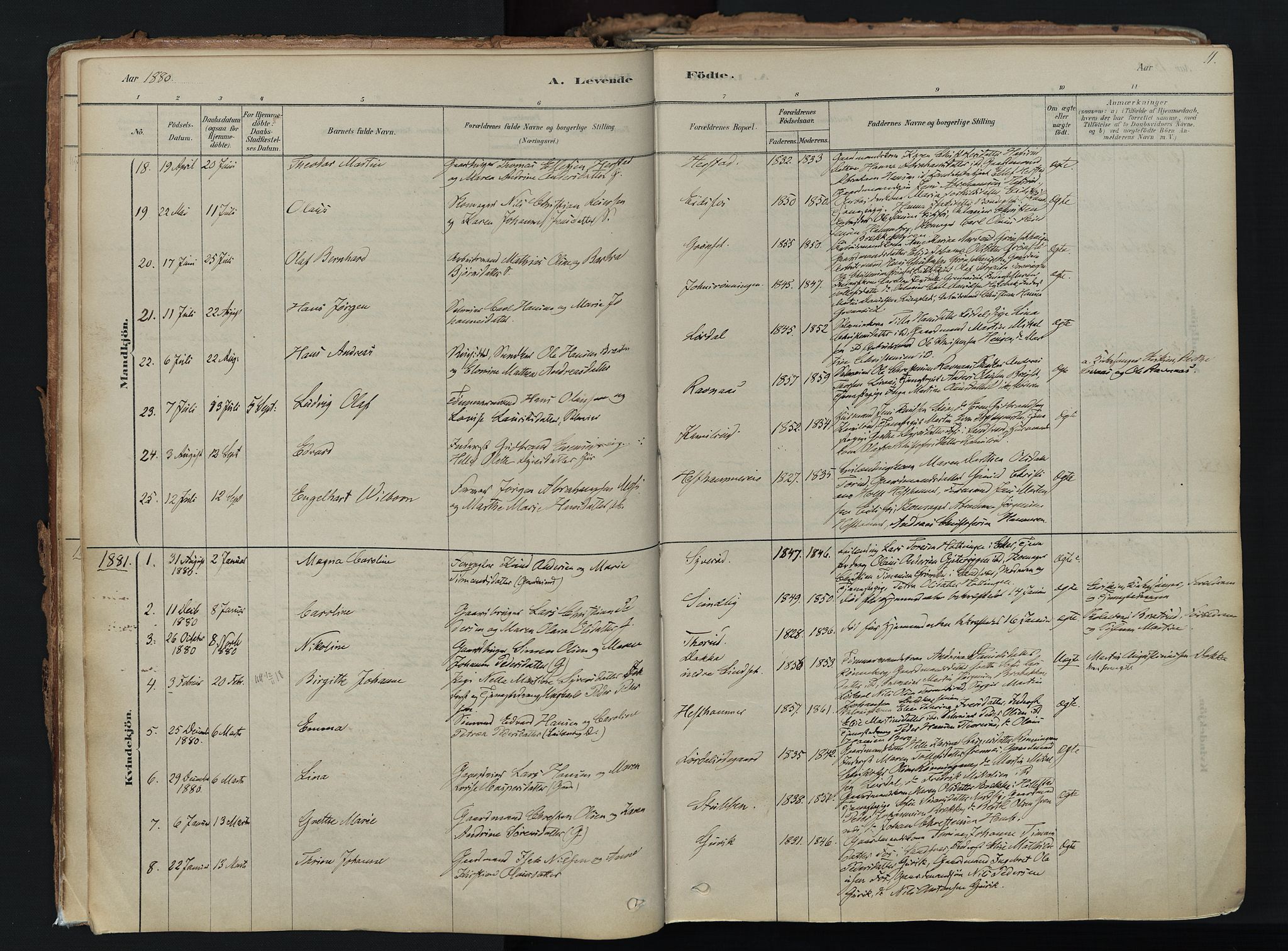 Hof kirkebøker, AV/SAKO-A-64/F/Fa/L0007: Parish register (official) no. I 7, 1878-1940, p. 11