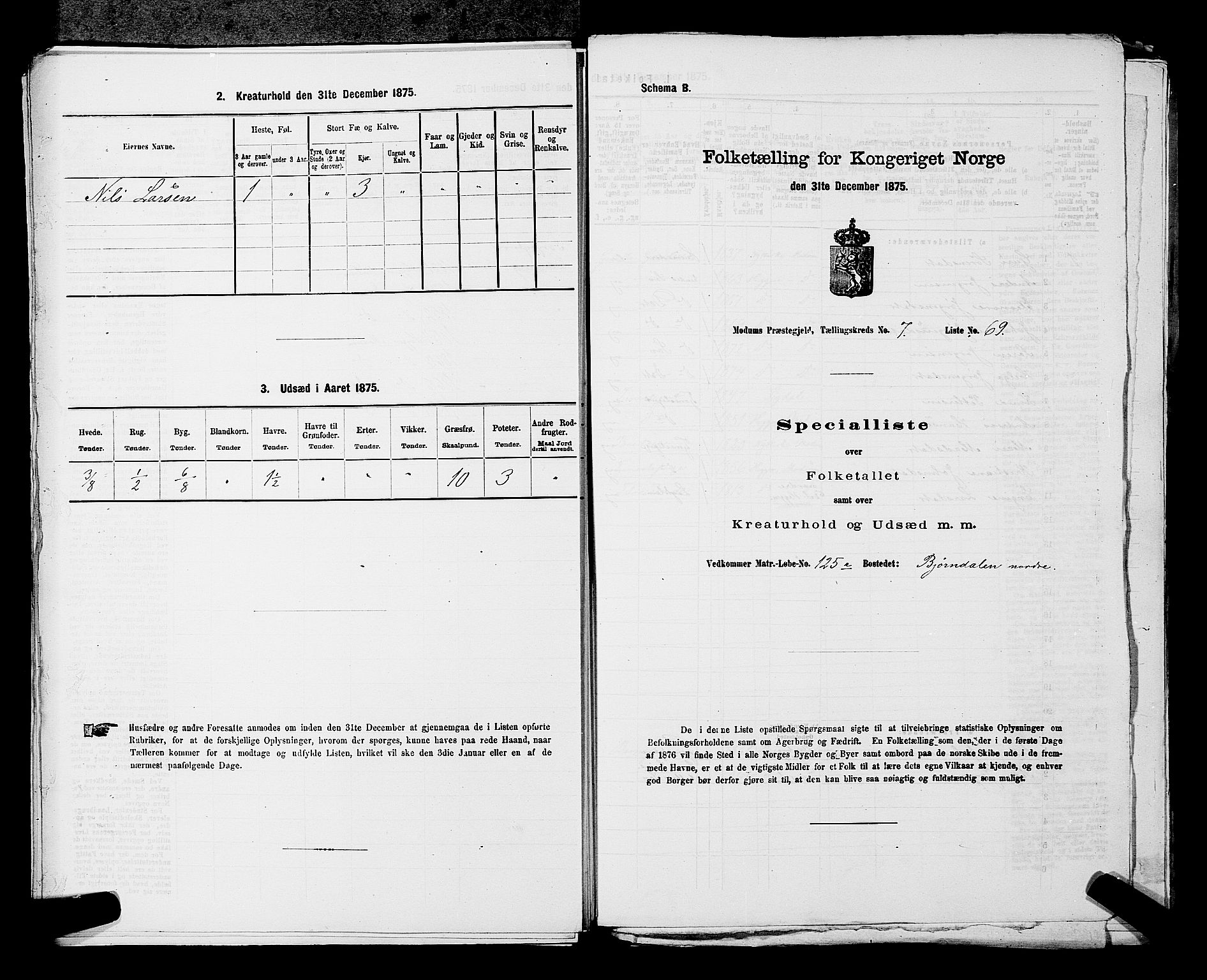 SAKO, 1875 census for 0623P Modum, 1875, p. 869