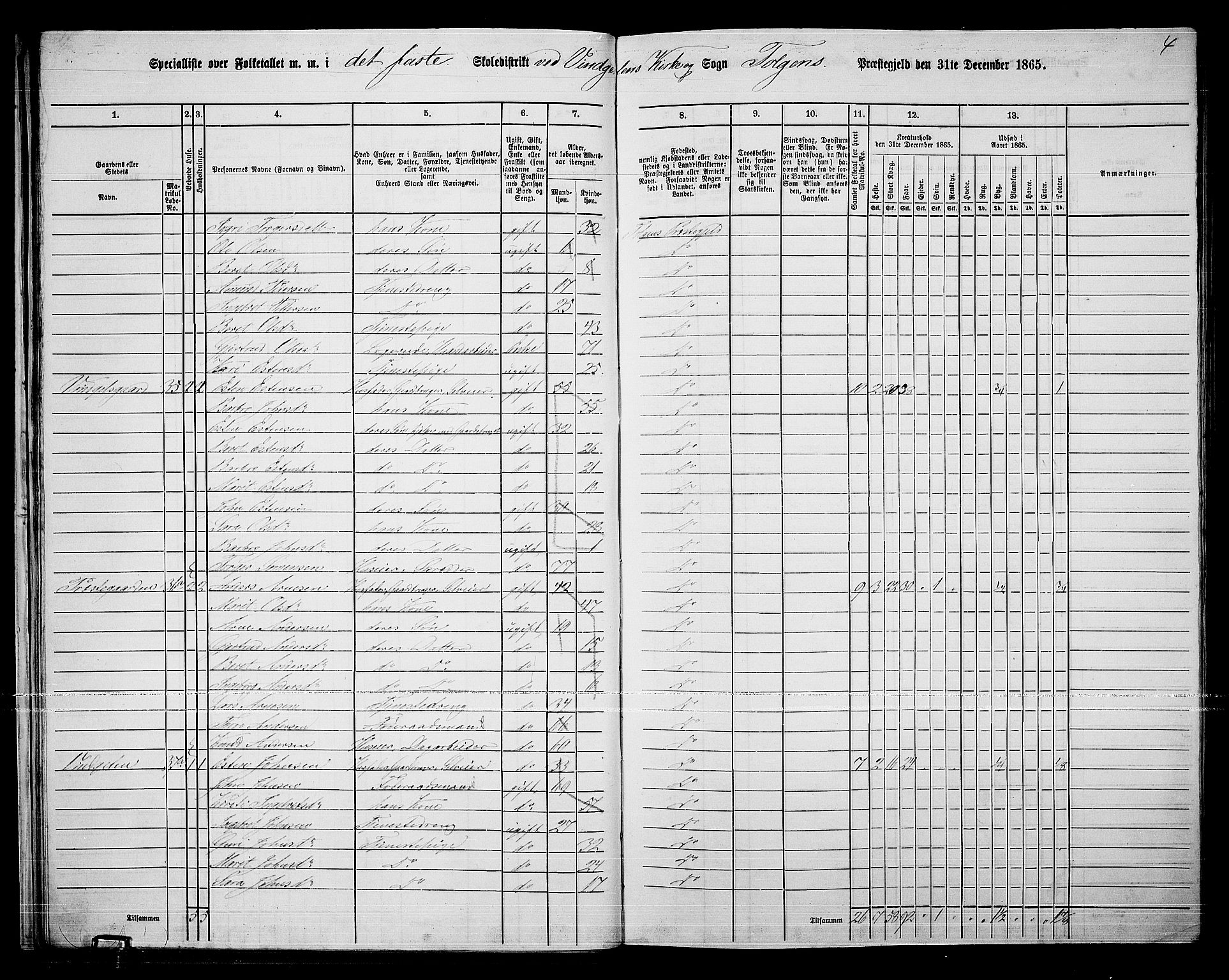 RA, 1865 census for Tolga, 1865, p. 28