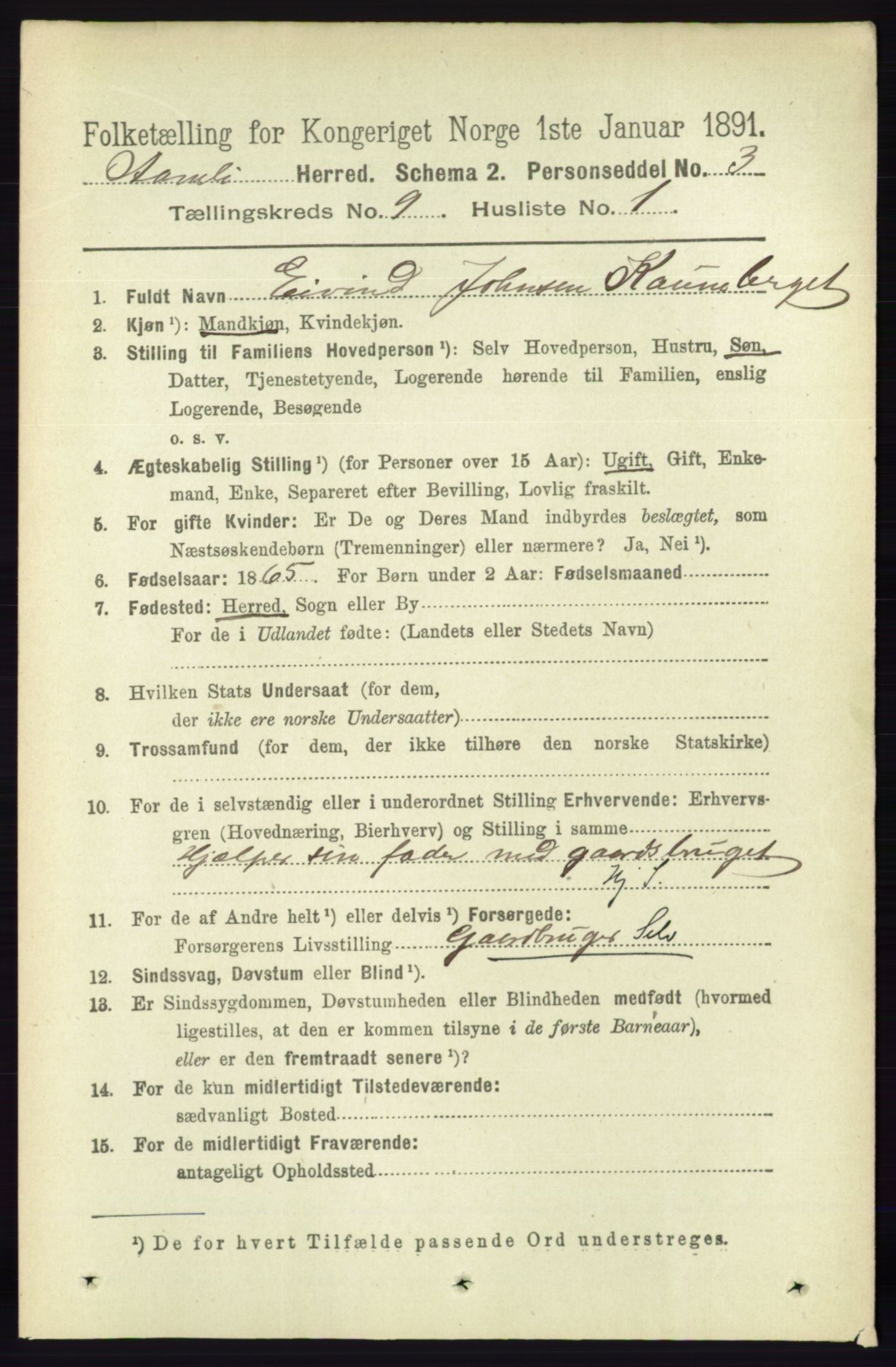 RA, 1891 census for 0929 Åmli, 1891, p. 1458