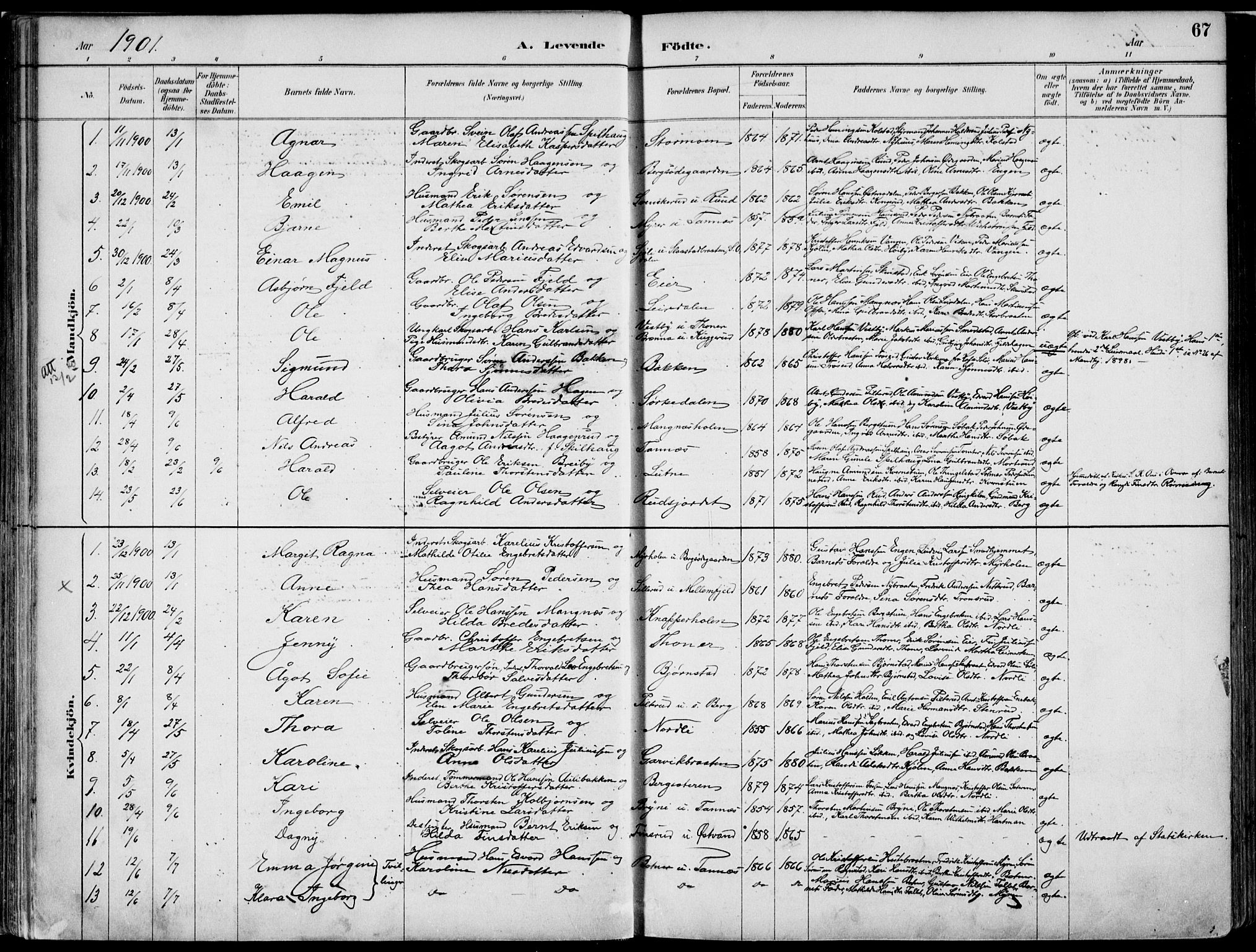 Nord-Odal prestekontor, SAH/PREST-032/H/Ha/Haa/L0008: Parish register (official) no. 8, 1886-1901, p. 67