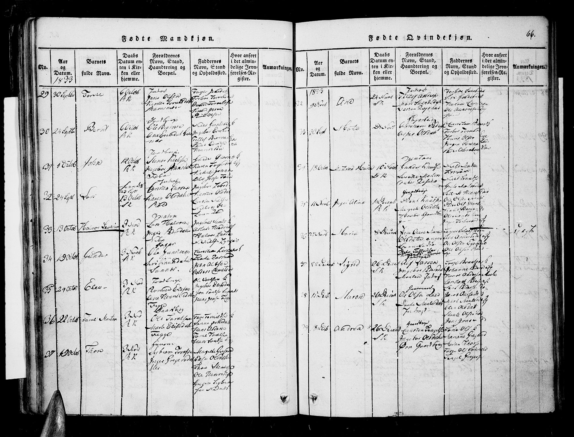 Søndeled sokneprestkontor, AV/SAK-1111-0038/F/Fa/L0001: Parish register (official) no. A 1, 1816-1838, p. 66