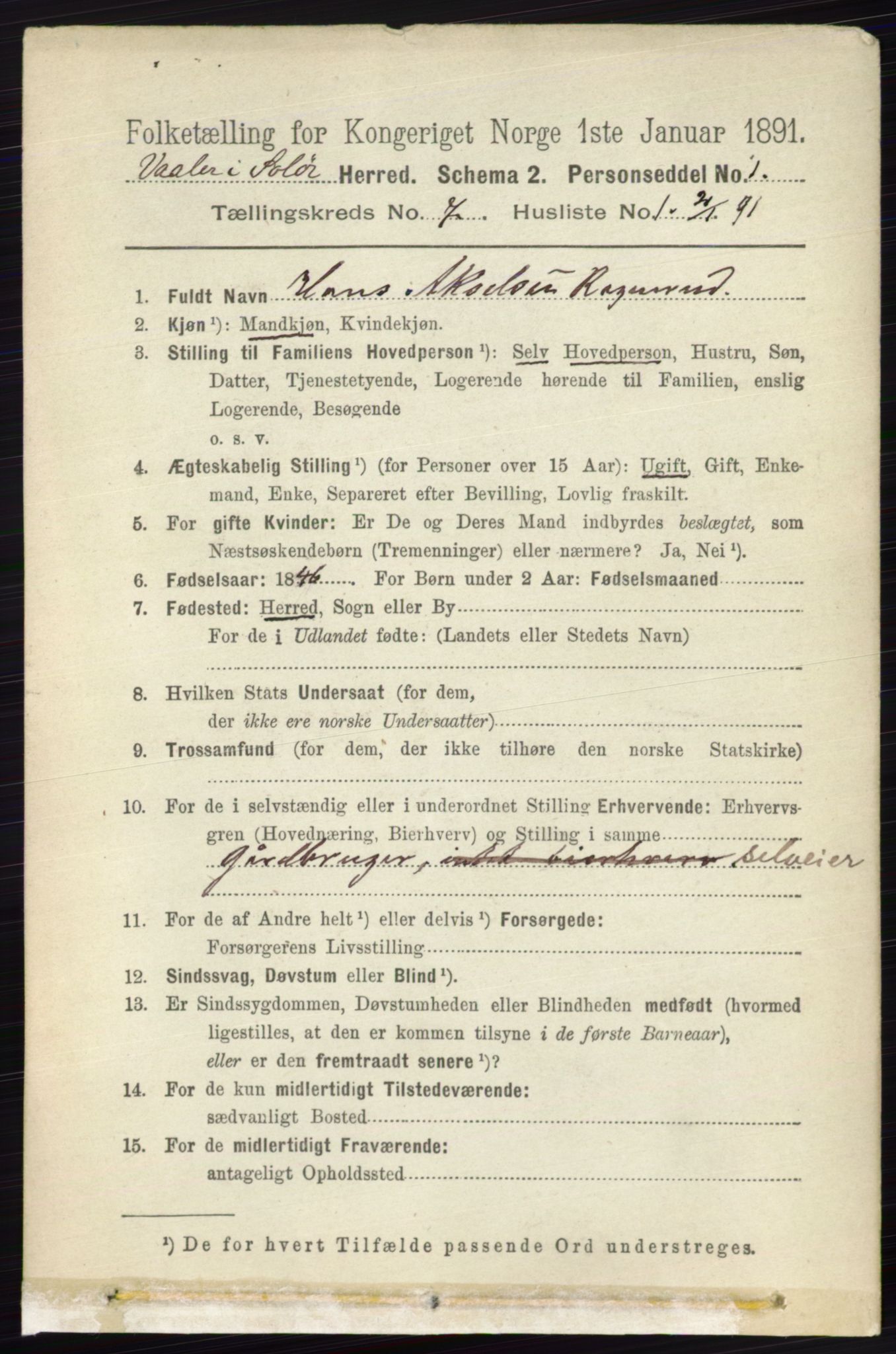 RA, 1891 census for 0426 Våler, 1891, p. 2925