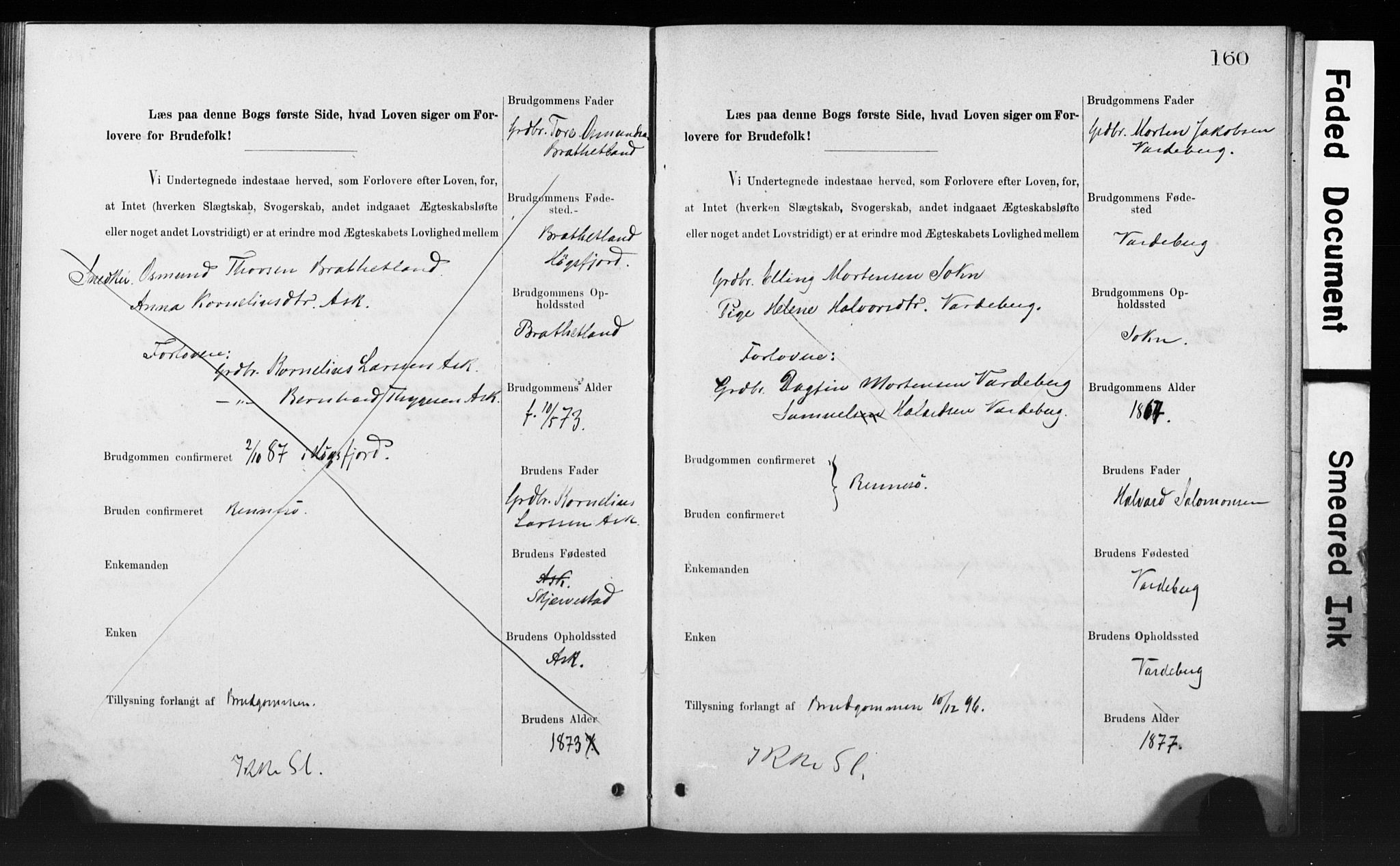 Rennesøy sokneprestkontor, SAST/A -101827/I/Ie/L0001: Banns register no. 1, 1873-1898, p. 160