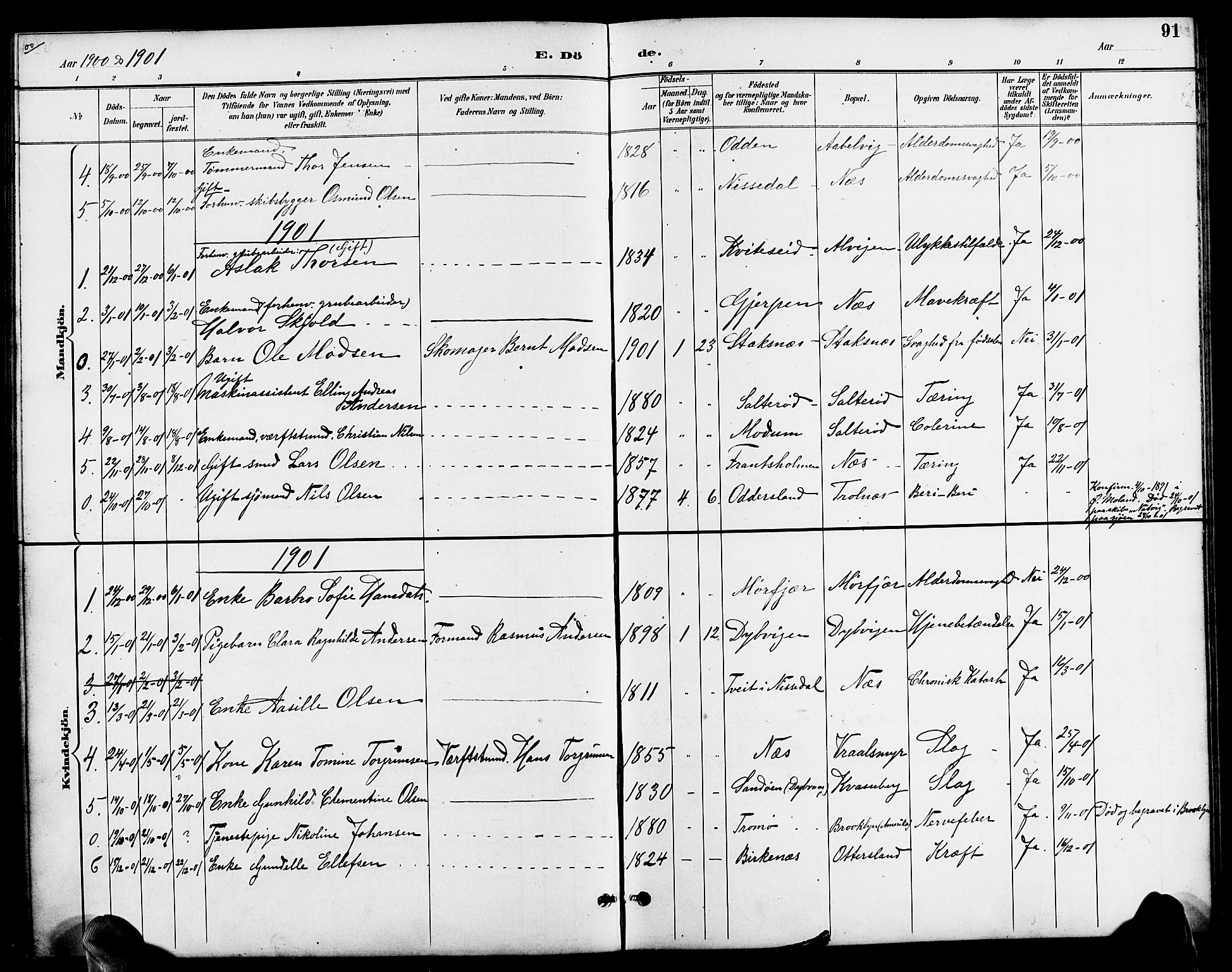 Austre Moland sokneprestkontor, SAK/1111-0001/F/Fb/Fbb/L0002: Parish register (copy) no. B 2, 1894-1918, p. 91