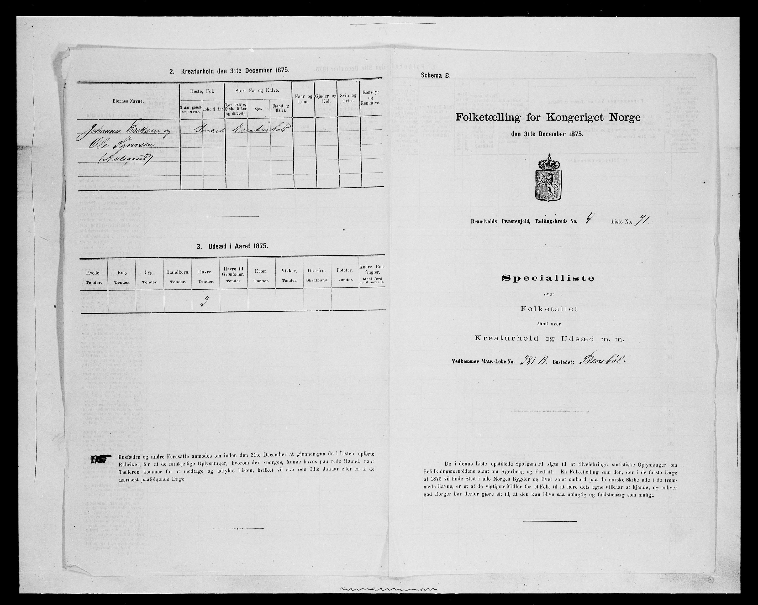 SAH, 1875 census for 0422P Brandval, 1875, p. 716