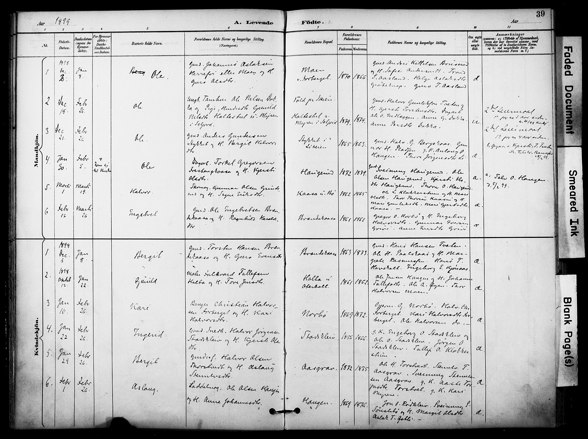 Bø kirkebøker, SAKO/A-257/F/Fa/L0011: Parish register (official) no. 11, 1892-1900, p. 39