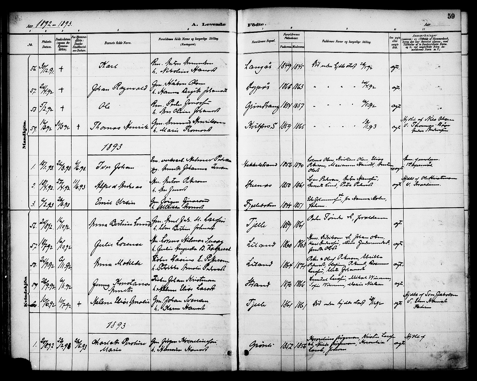 Ministerialprotokoller, klokkerbøker og fødselsregistre - Nordland, AV/SAT-A-1459/863/L0898: Parish register (official) no. 863A10, 1886-1897, p. 59