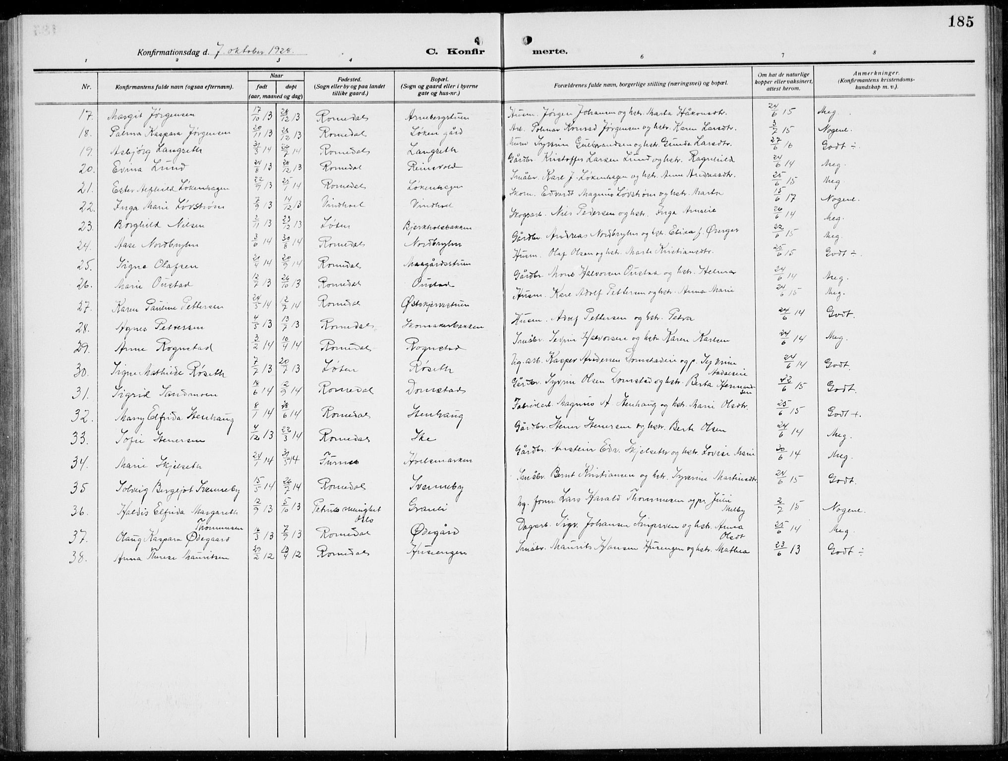 Romedal prestekontor, AV/SAH-PREST-004/L/L0014: Parish register (copy) no. 14, 1915-1939, p. 185