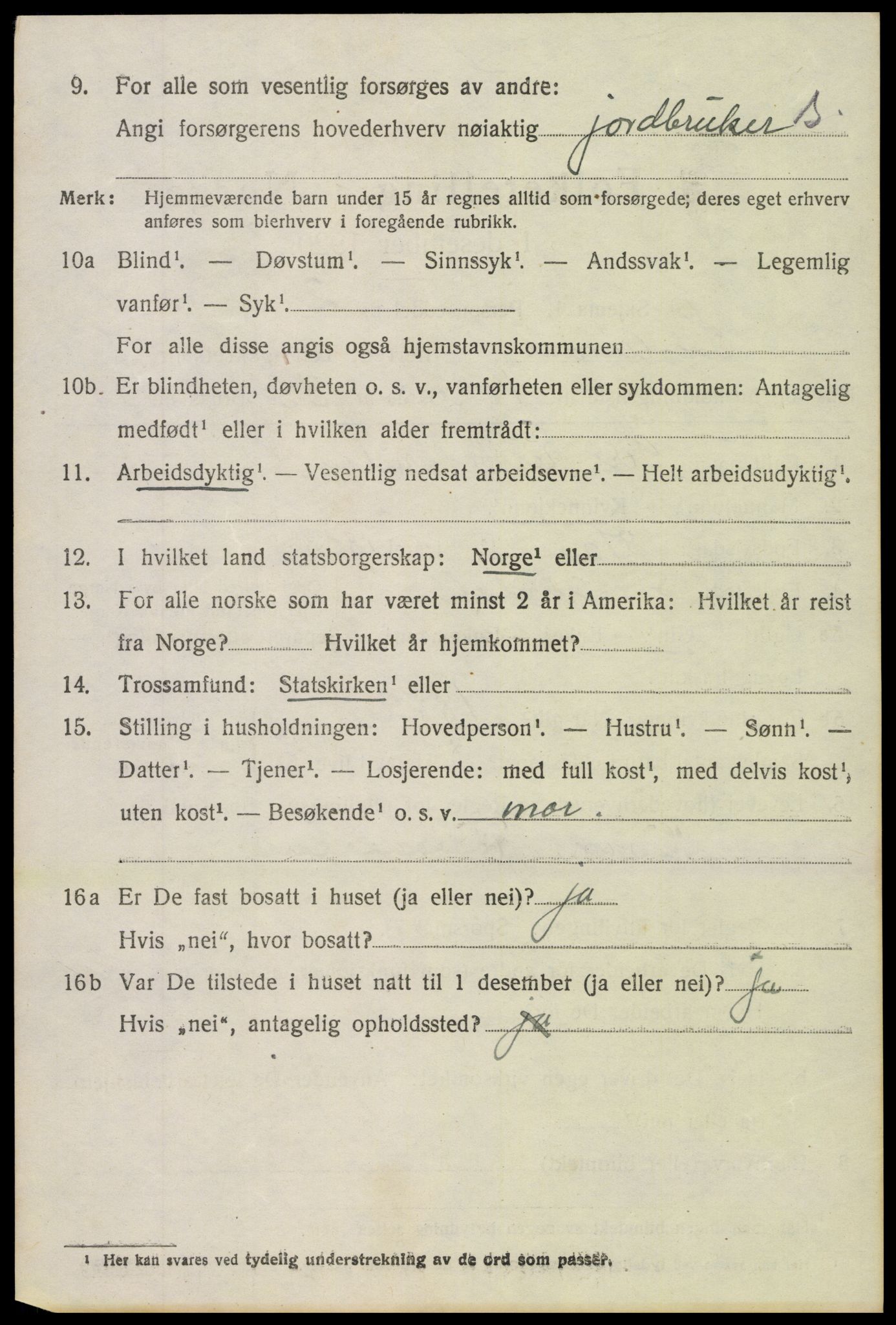 SAH, 1920 census for Sør-Aurdal, 1920, p. 3732