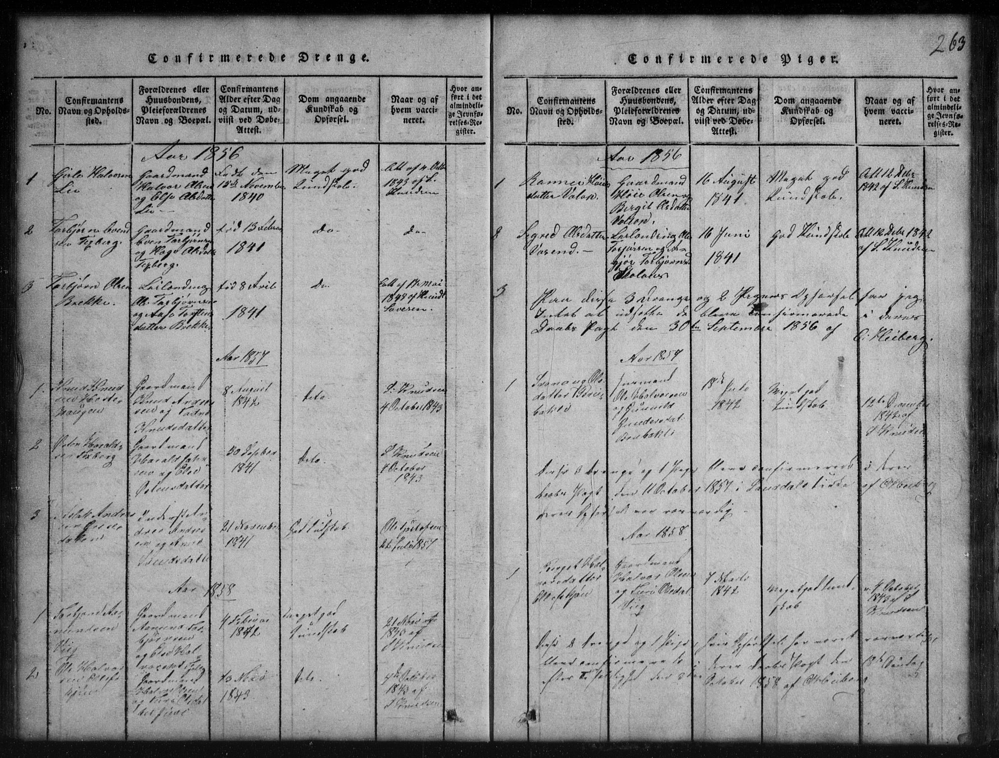 Rauland kirkebøker, SAKO/A-292/G/Gb/L0001: Parish register (copy) no. II 1, 1815-1886, p. 263