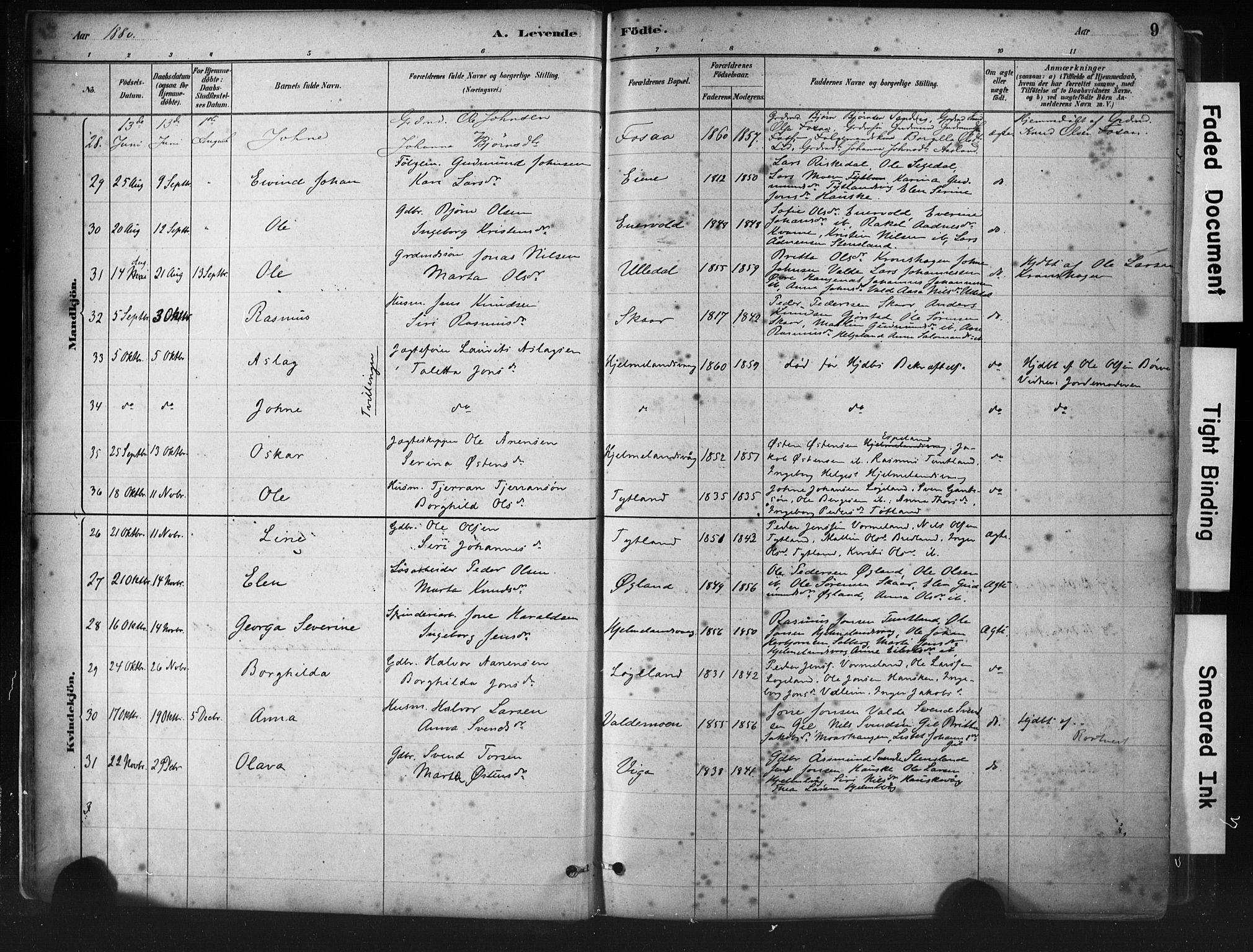 Hjelmeland sokneprestkontor, AV/SAST-A-101843/01/IV/L0014: Parish register (official) no. A 14, 1879-1900, p. 9