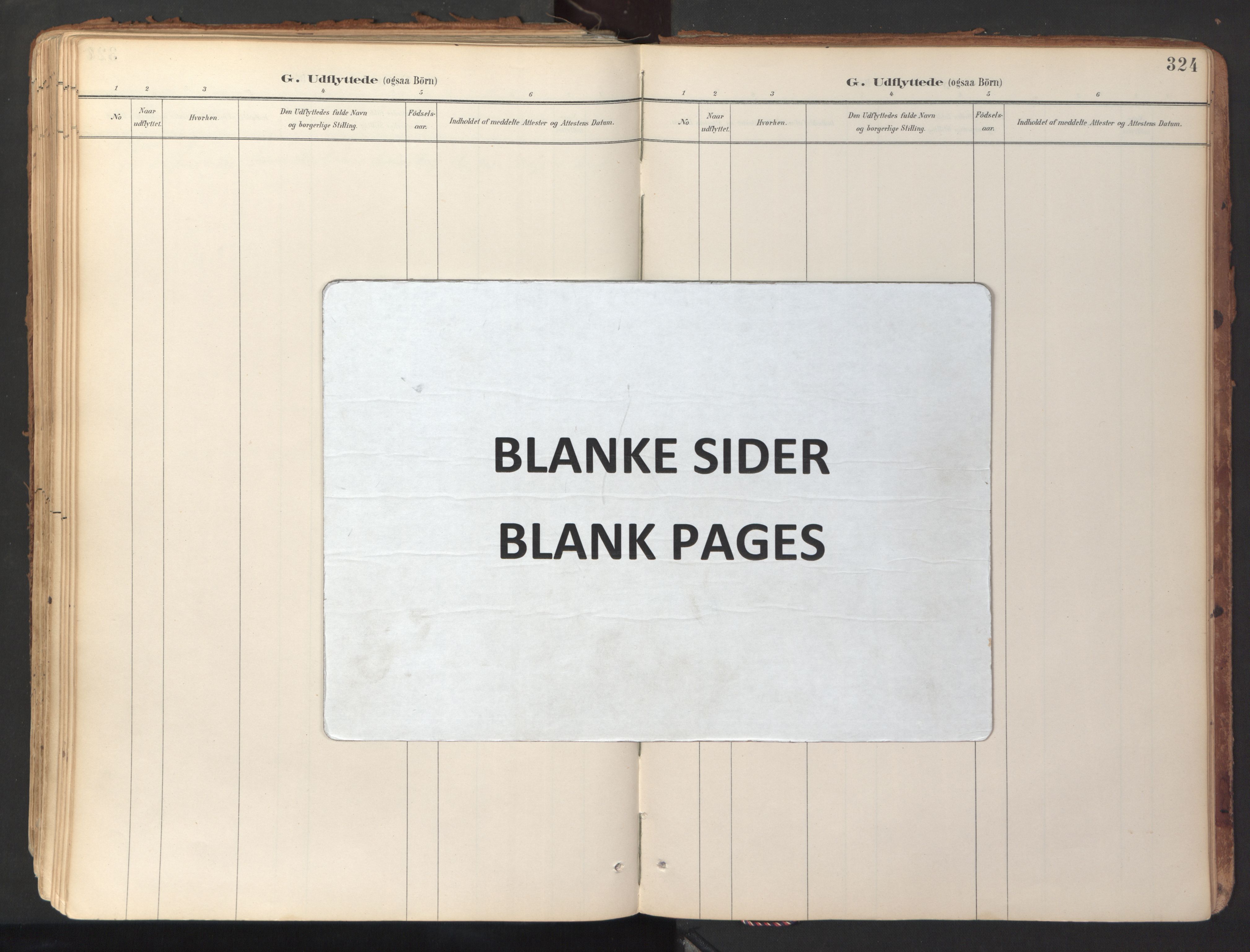 Ministerialprotokoller, klokkerbøker og fødselsregistre - Sør-Trøndelag, AV/SAT-A-1456/689/L1041: Parish register (official) no. 689A06, 1891-1923, p. 324