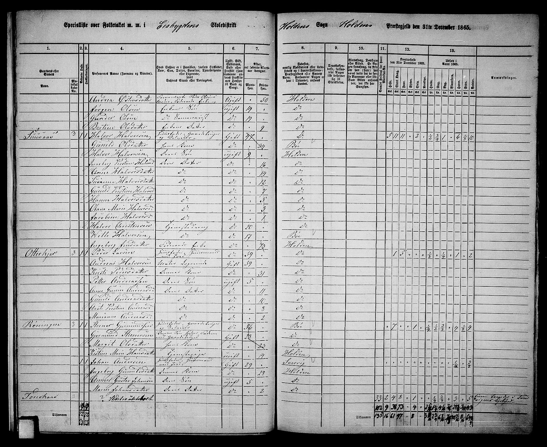 RA, 1865 census for Holla, 1865, p. 16