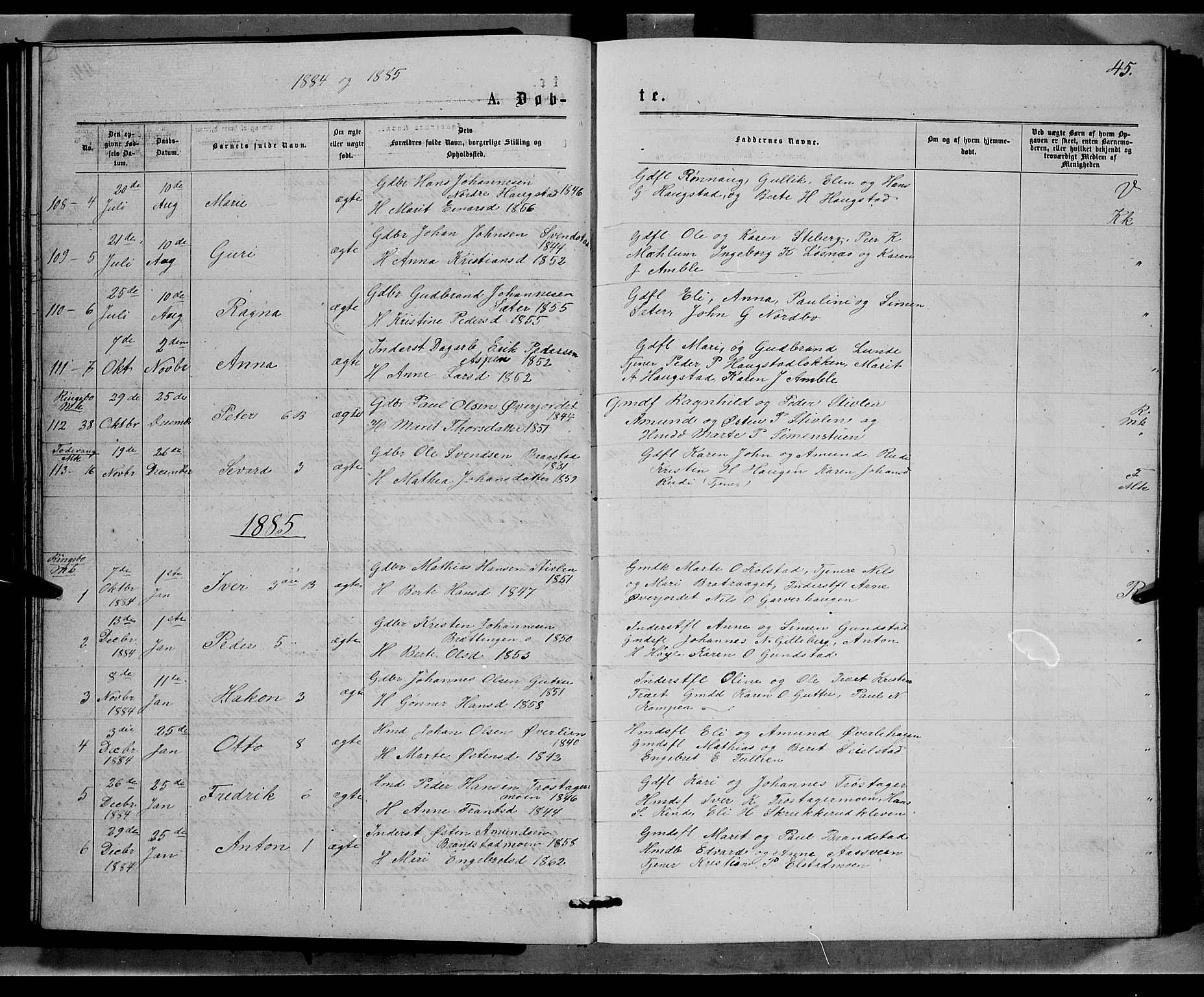 Ringebu prestekontor, SAH/PREST-082/H/Ha/Hab/L0006: Parish register (copy) no. 6, 1880-1898, p. 45