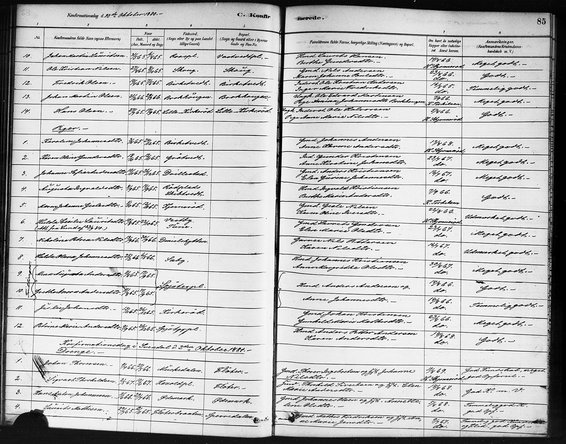 Våler prestekontor Kirkebøker, SAO/A-11083/F/Fb/L0001: Parish register (official) no. II 1, 1878-1896, p. 85