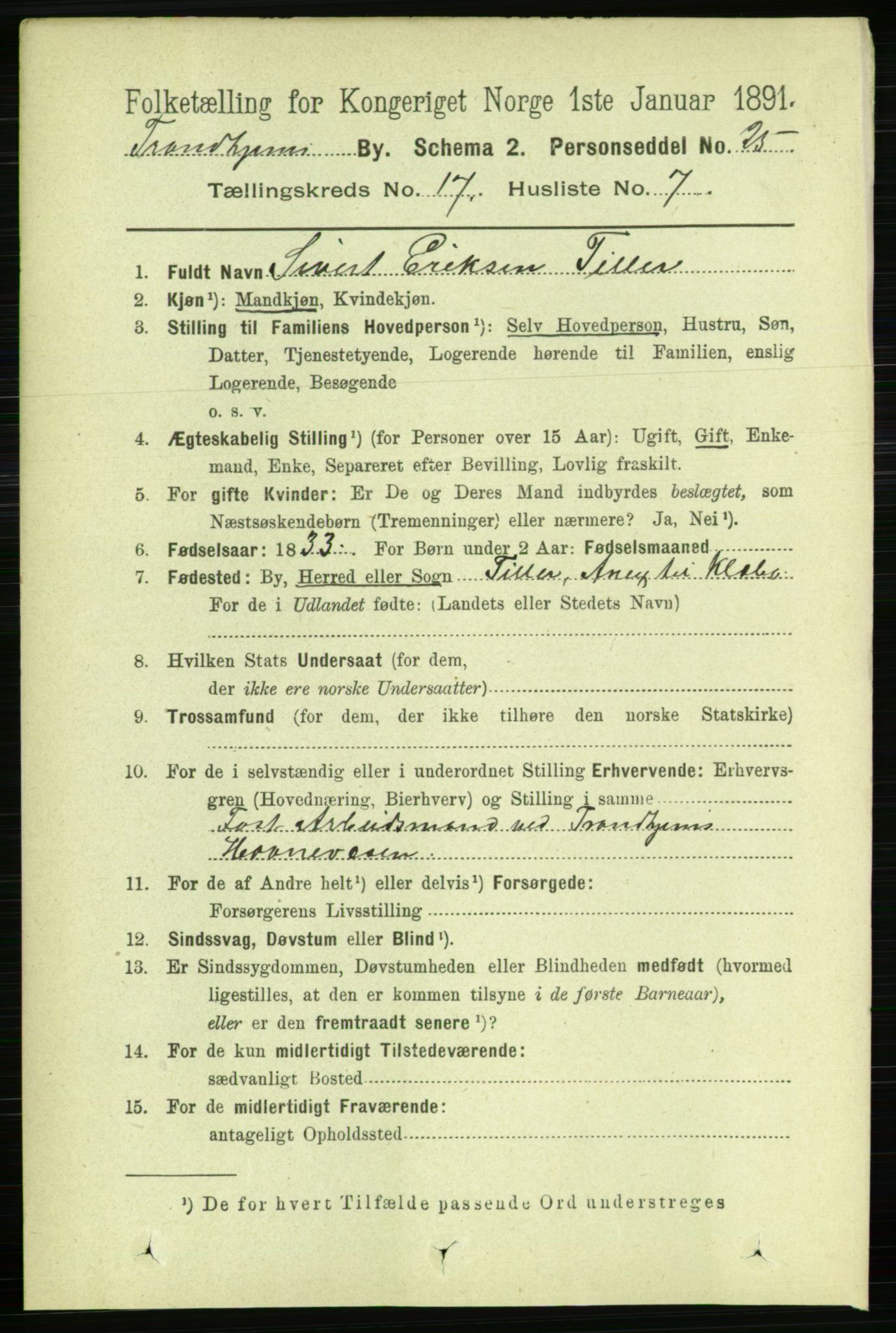 RA, 1891 census for 1601 Trondheim, 1891, p. 13294