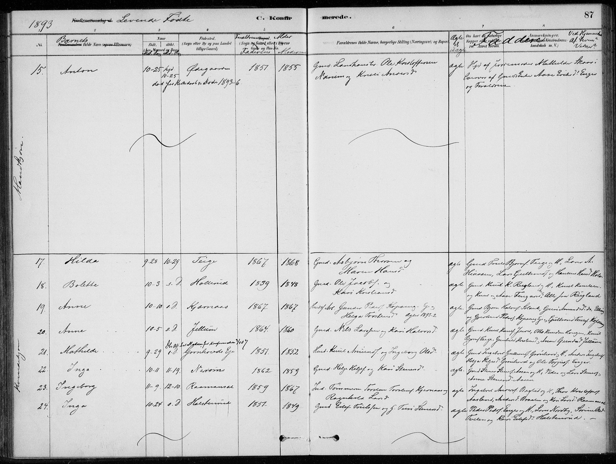 Sigdal kirkebøker, SAKO/A-245/F/Fc/L0001: Parish register (official) no. III 1, 1879-1893, p. 87