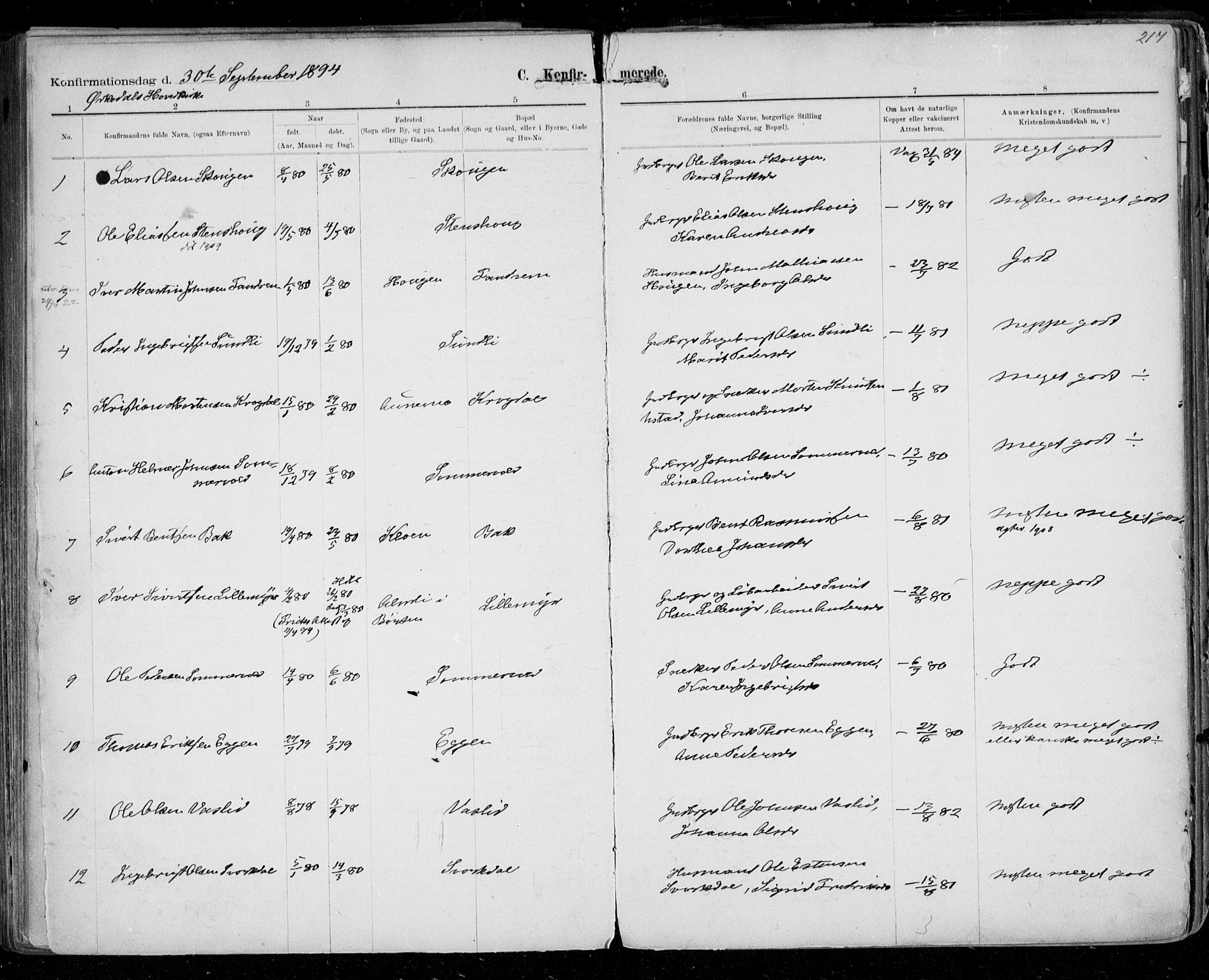 Ministerialprotokoller, klokkerbøker og fødselsregistre - Sør-Trøndelag, AV/SAT-A-1456/668/L0811: Parish register (official) no. 668A11, 1894-1913, p. 217