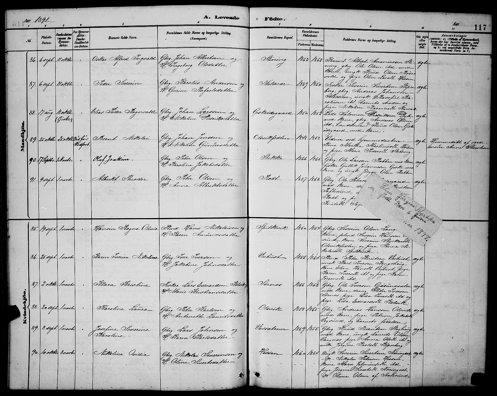 Ministerialprotokoller, klokkerbøker og fødselsregistre - Møre og Romsdal, AV/SAT-A-1454/528/L0431: Parish register (copy) no. 528C12, 1885-1898, p. 117