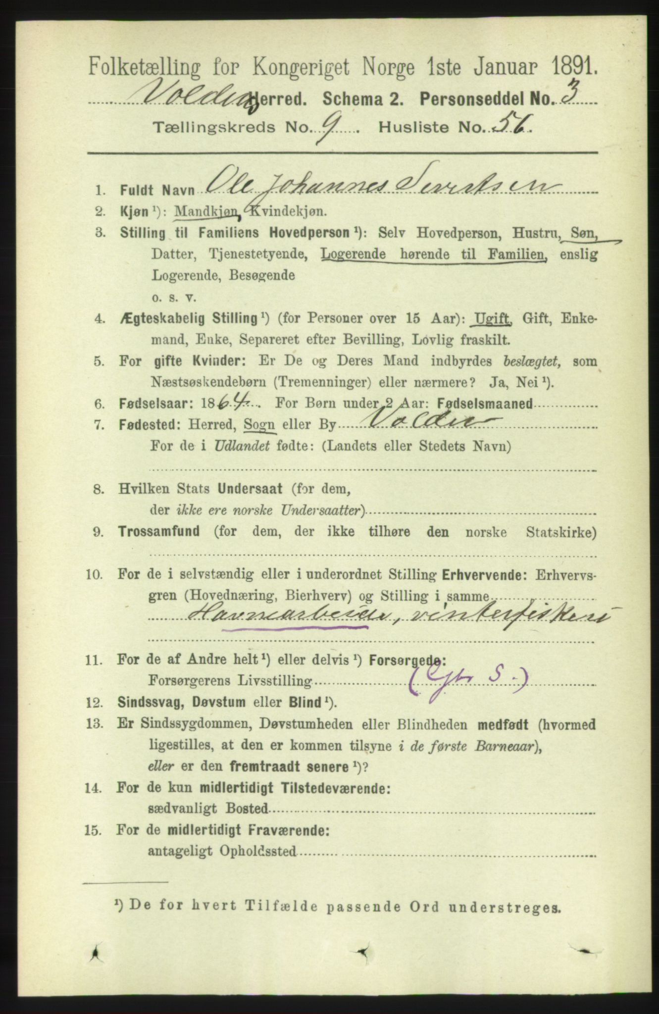 RA, 1891 census for 1519 Volda, 1891, p. 4625