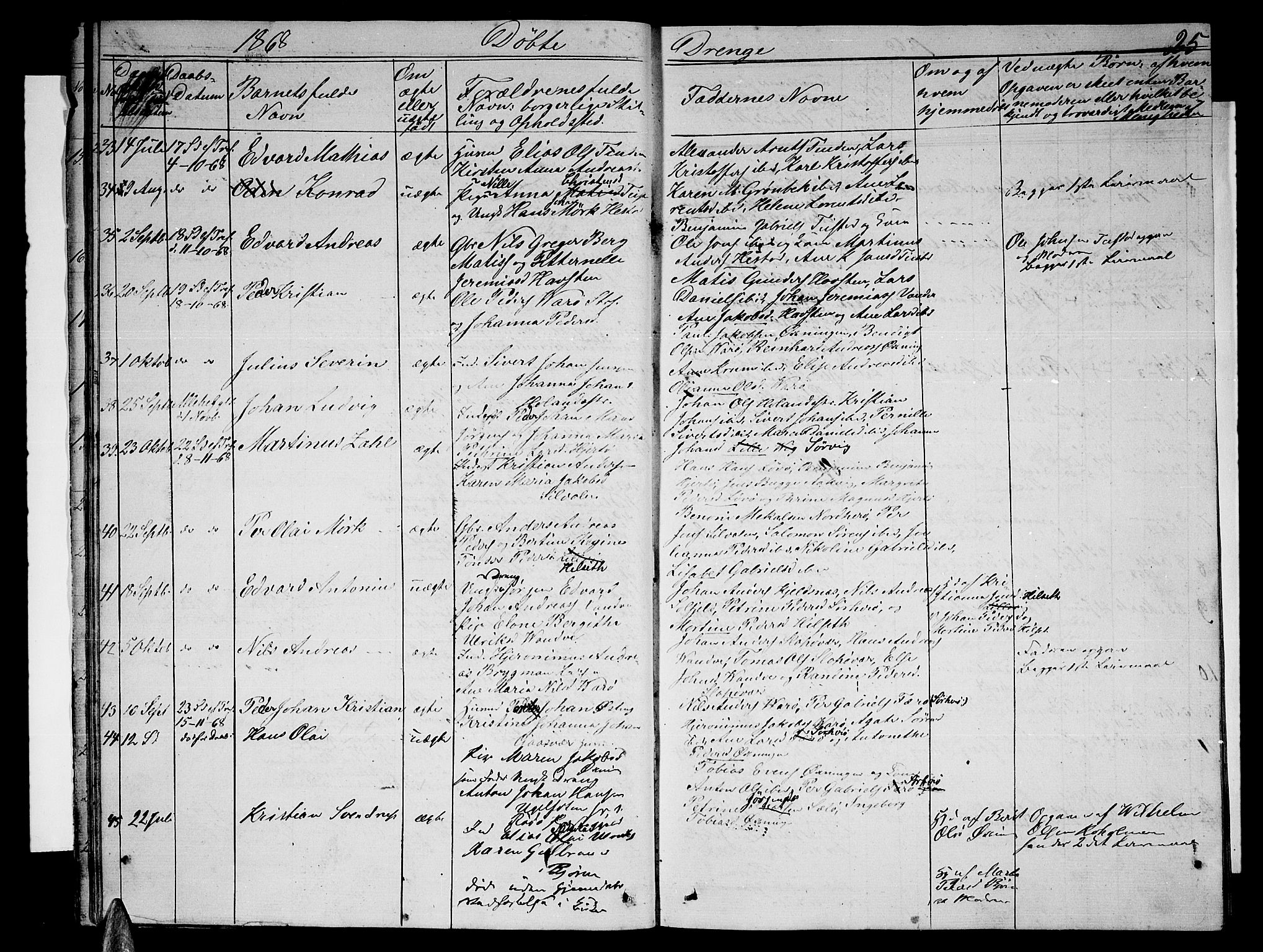 Ministerialprotokoller, klokkerbøker og fødselsregistre - Nordland, AV/SAT-A-1459/834/L0512: Parish register (copy) no. 834C03, 1862-1877, p. 25