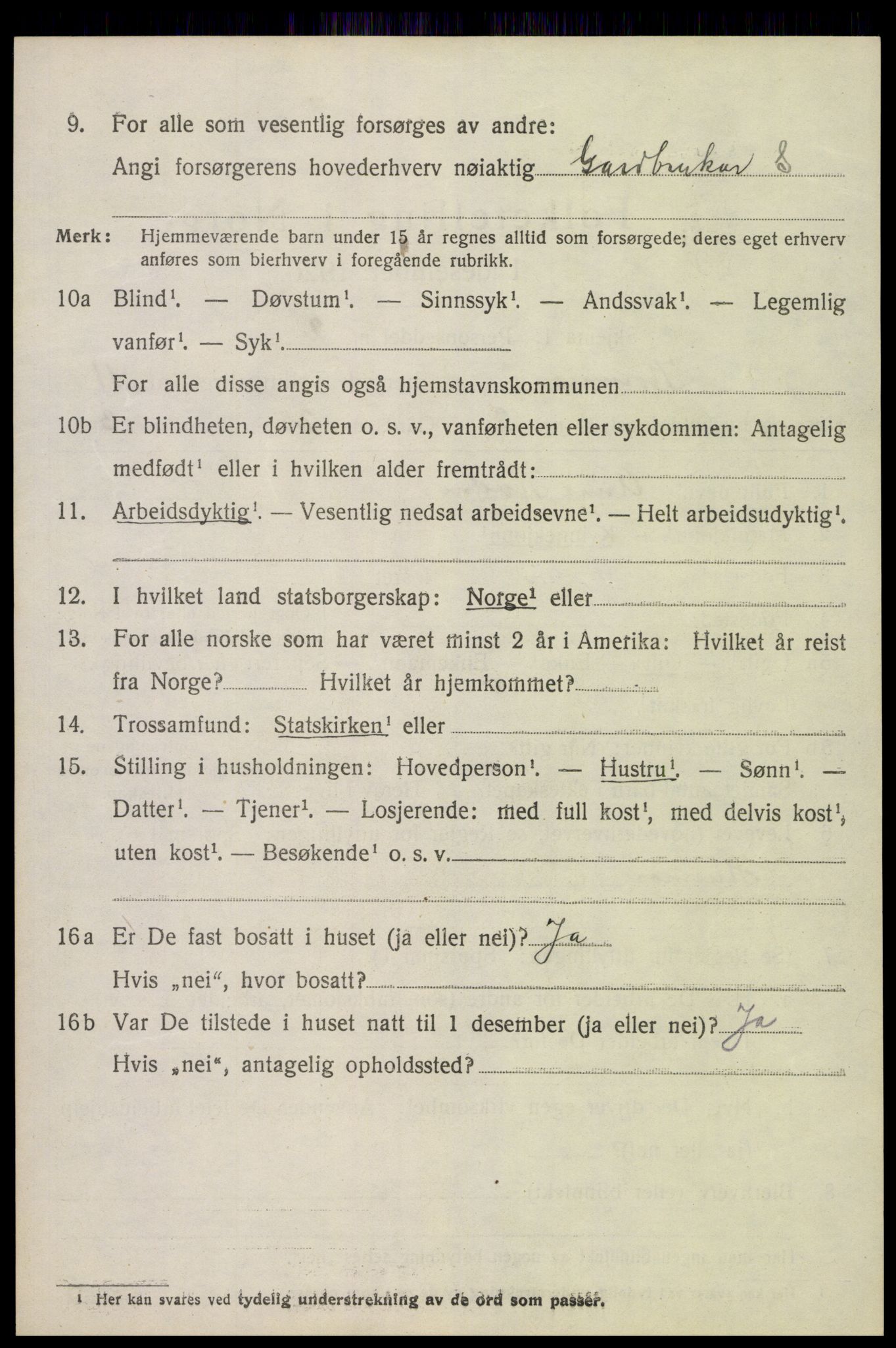 SAK, 1920 census for Hornnes, 1920, p. 2648