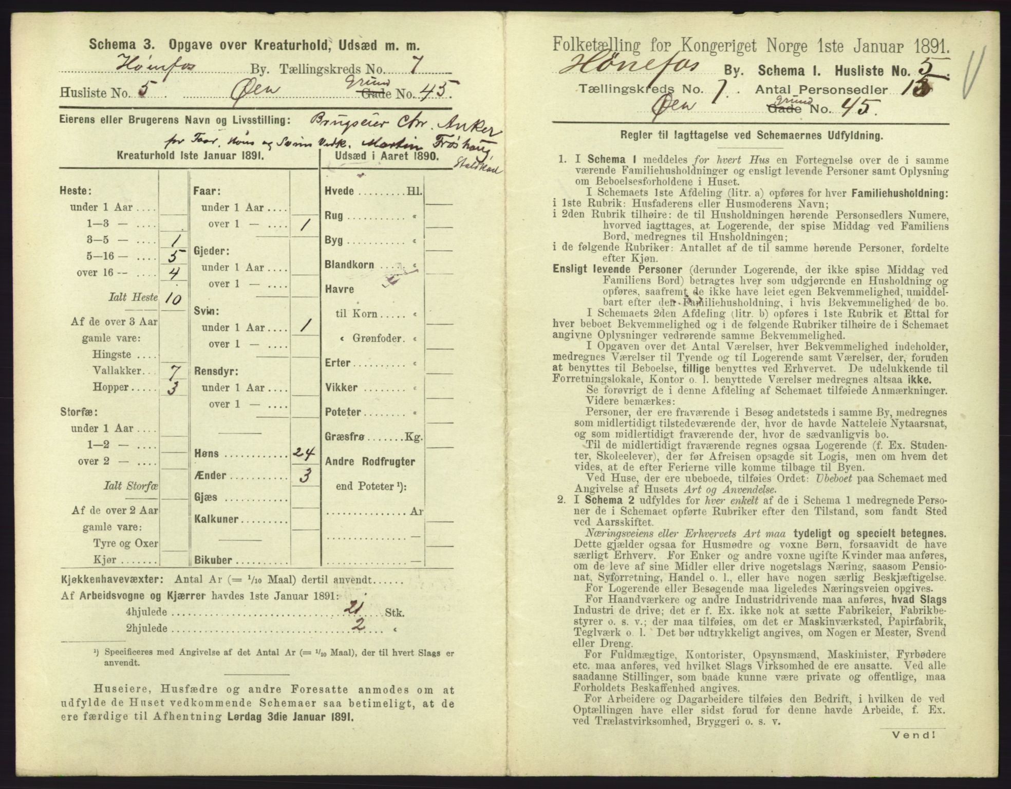 RA, 1891 census for 0601 Hønefoss, 1891, p. 197