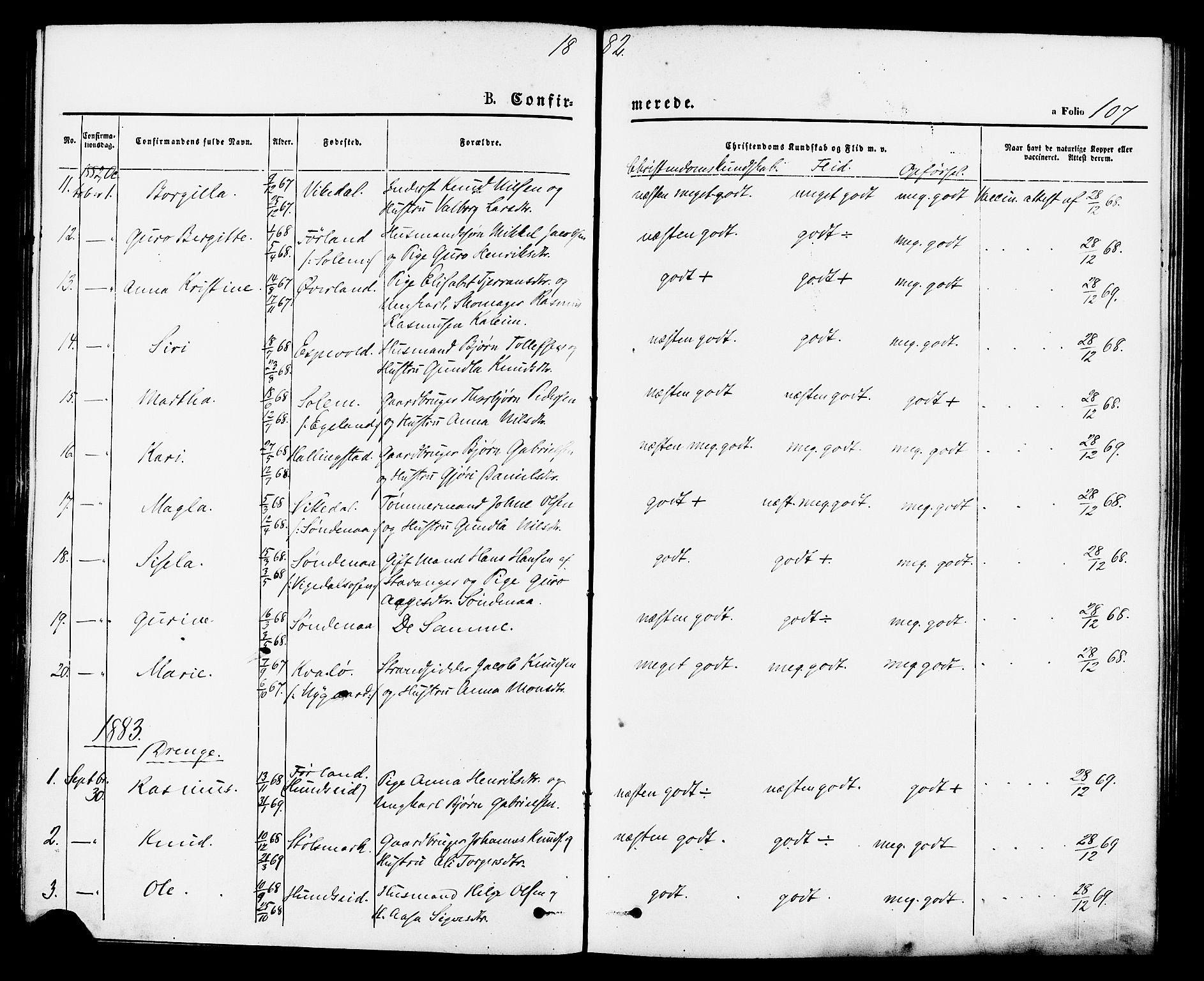 Vikedal sokneprestkontor, AV/SAST-A-101840/01/IV: Parish register (official) no. A 7, 1868-1883, p. 107