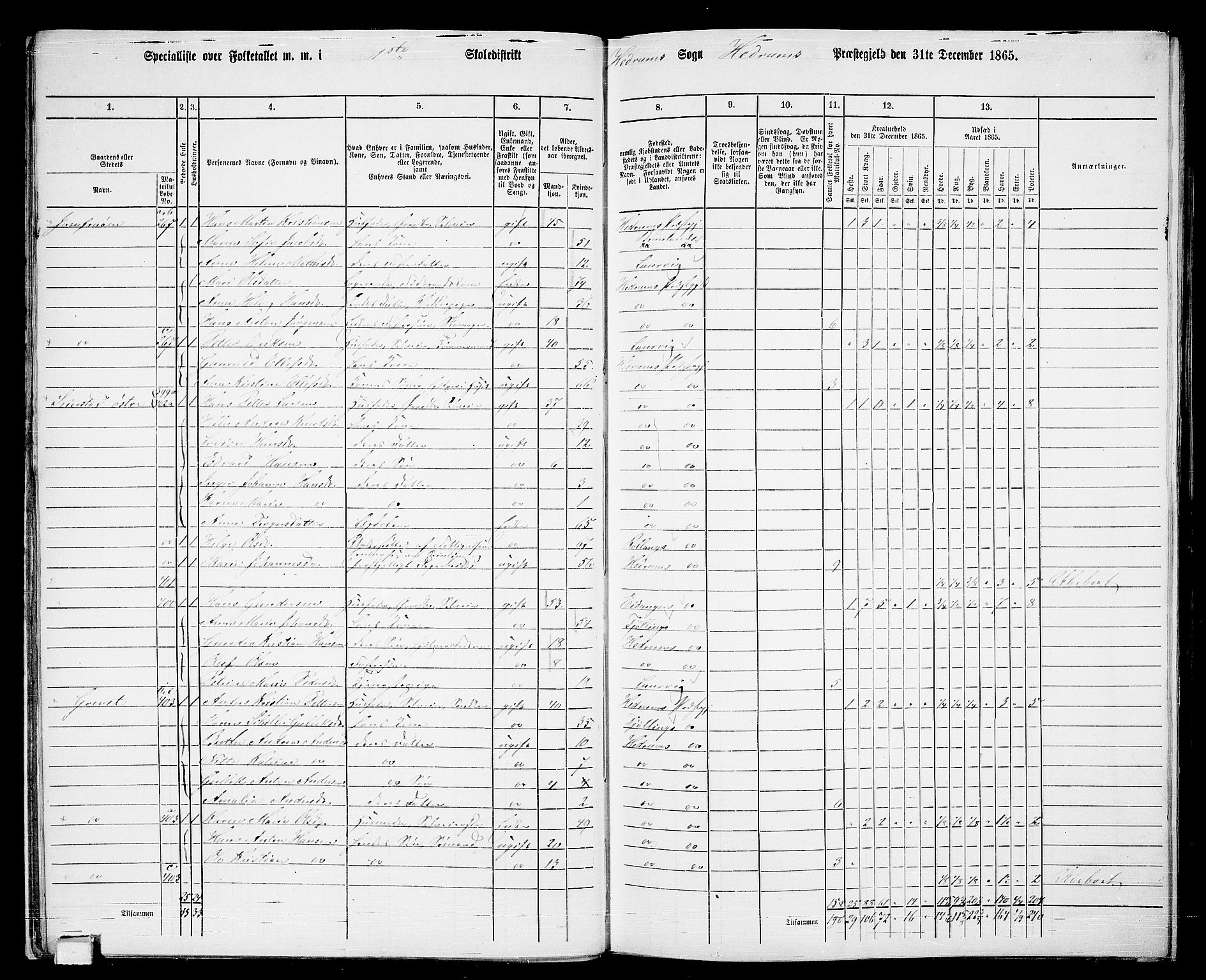 RA, 1865 census for Hedrum, 1865, p. 20