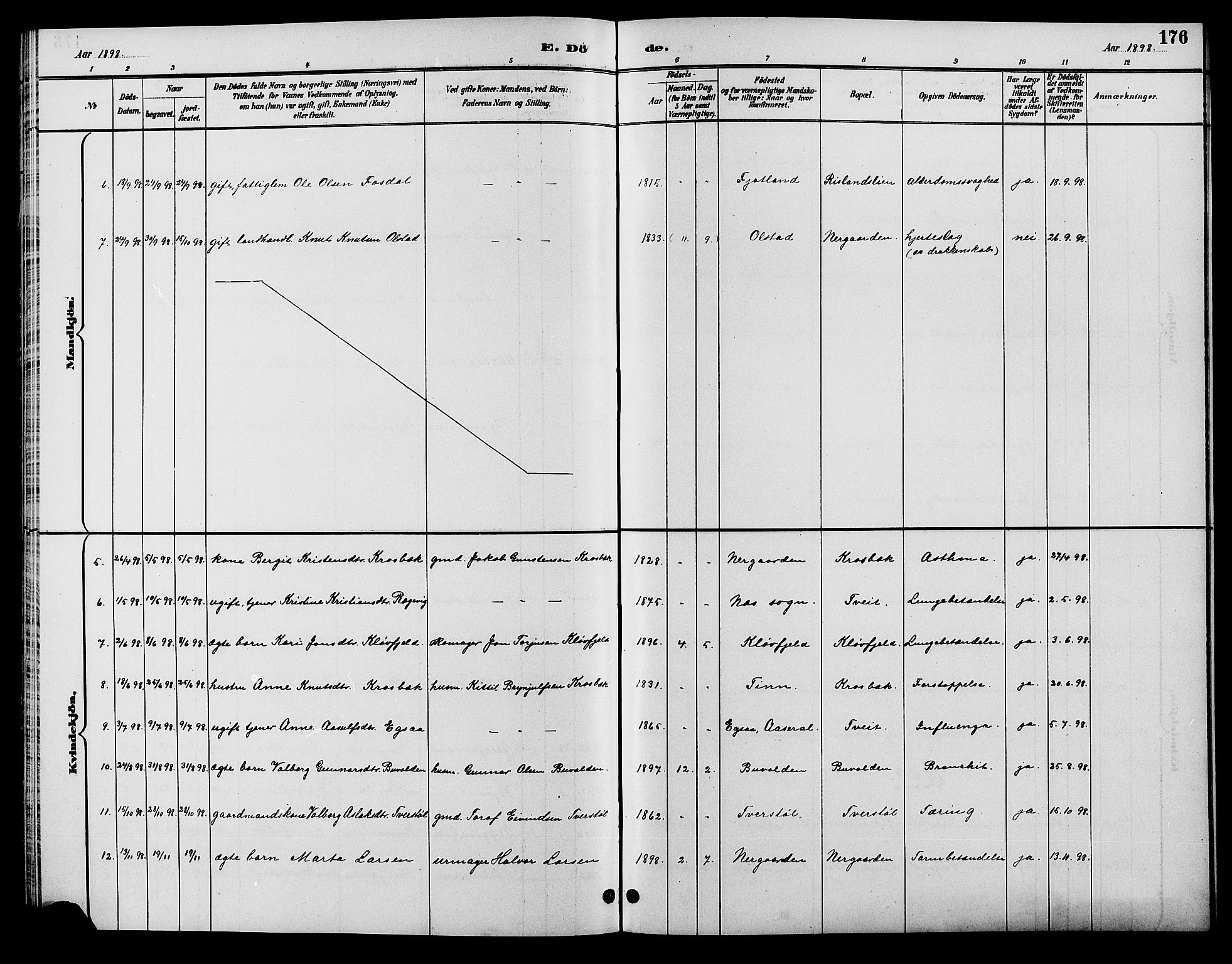 Åmli sokneprestkontor, AV/SAK-1111-0050/F/Fb/Fbc/L0004: Parish register (copy) no. B 4, 1889-1902, p. 176