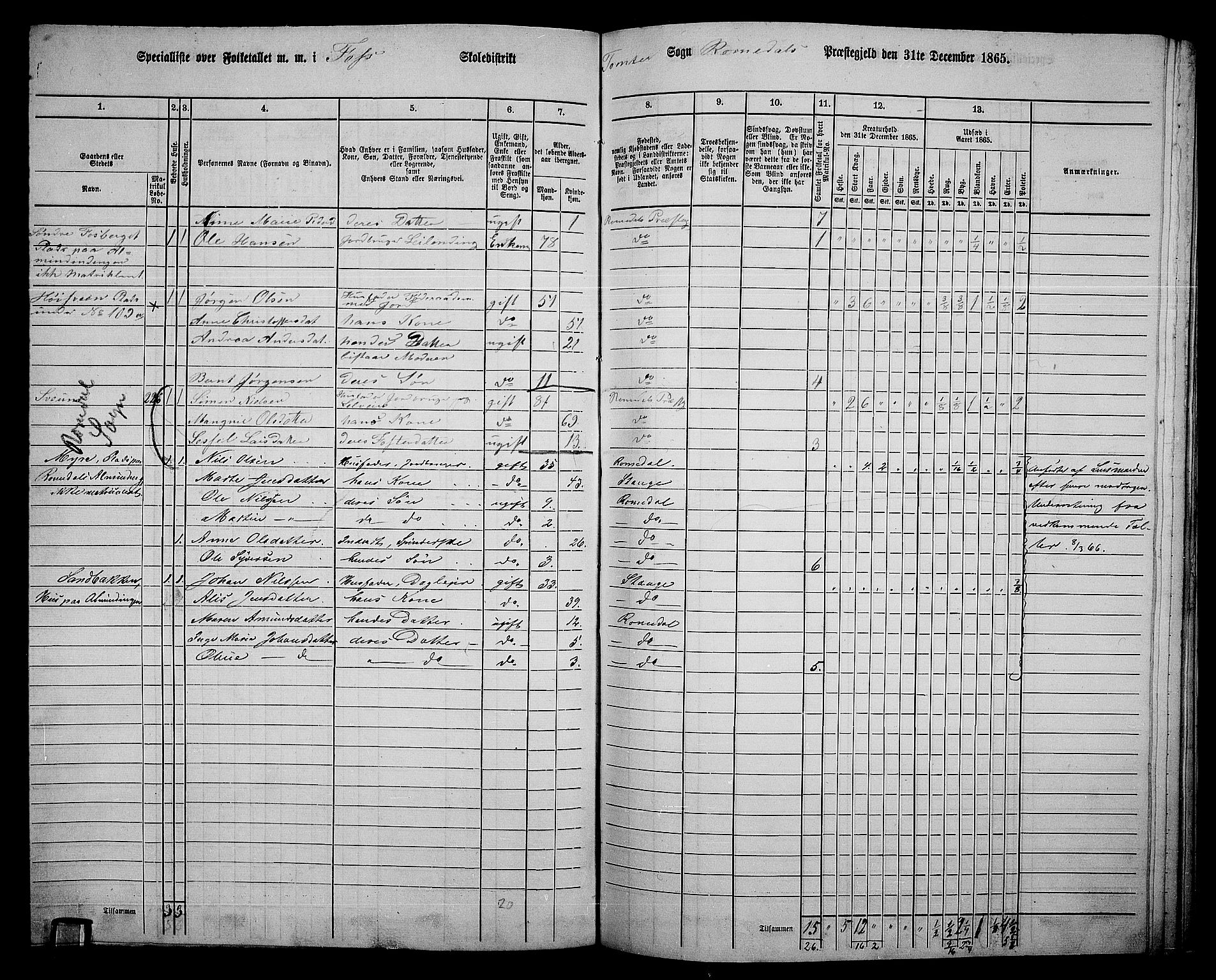 RA, 1865 census for Romedal, 1865, p. 185