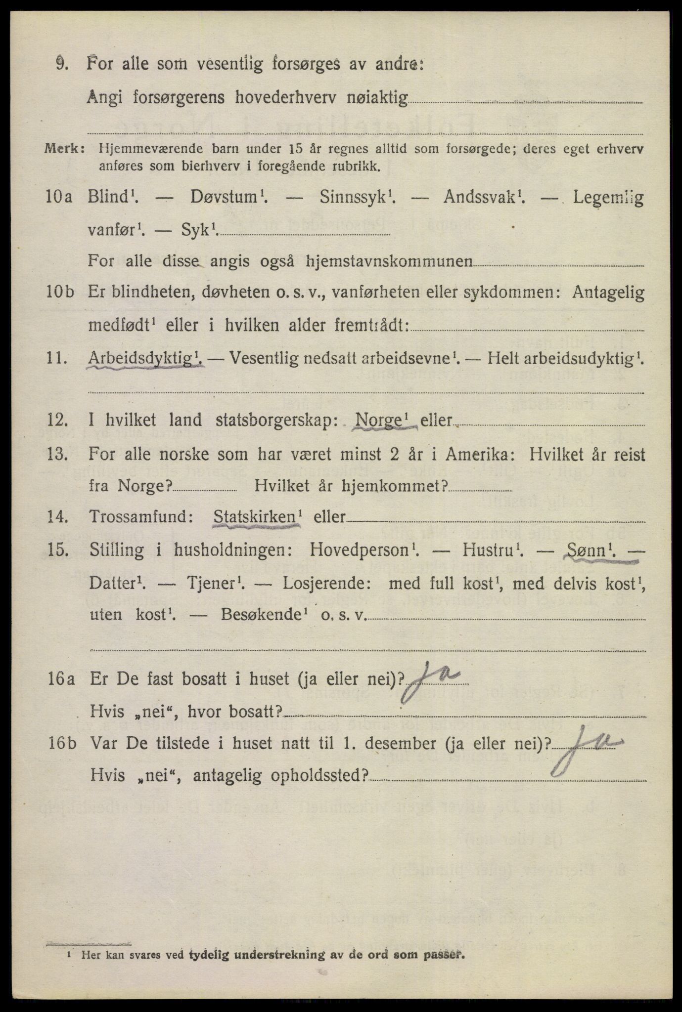 SAKO, 1920 census for Hol (Buskerud), 1920, p. 854