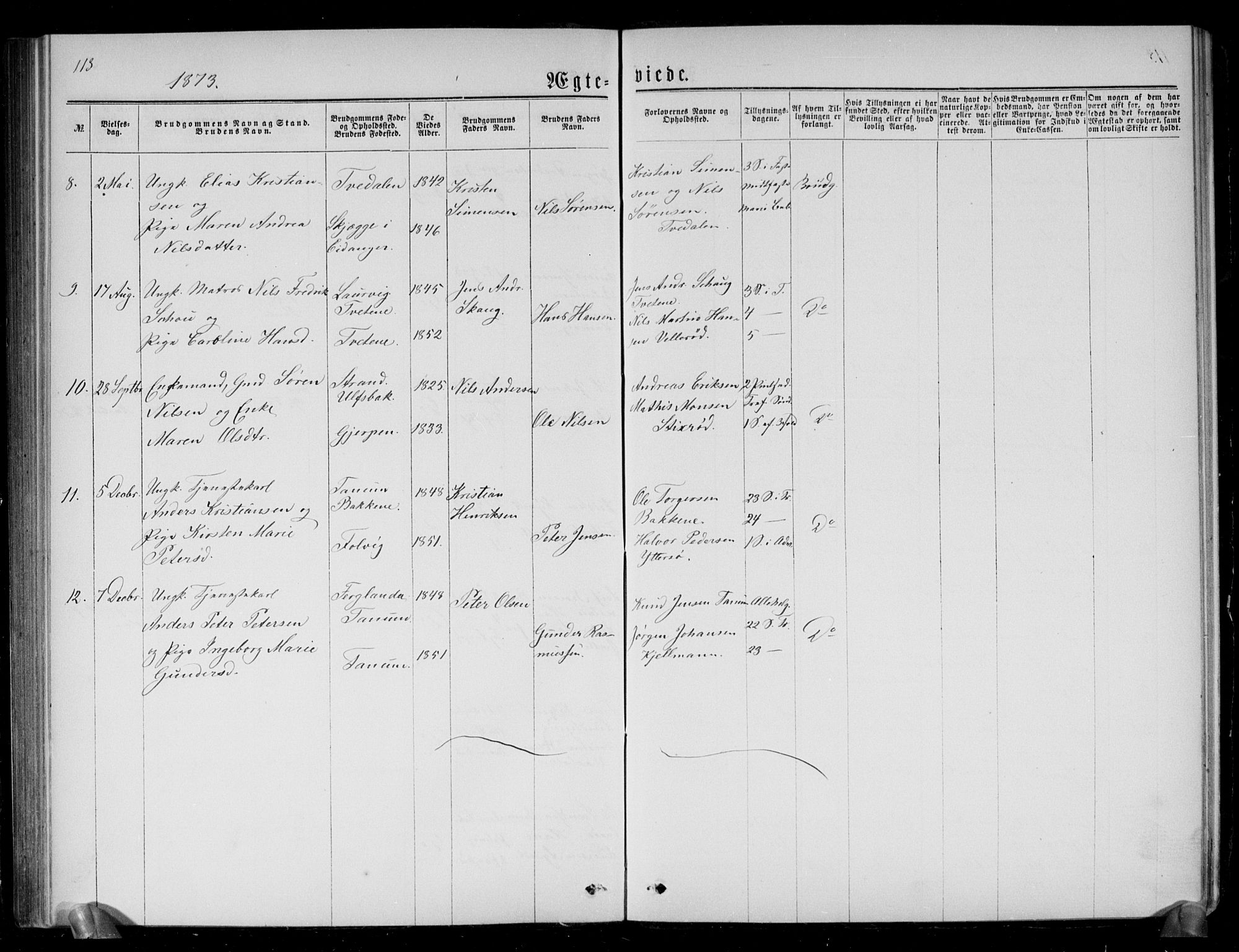 Brunlanes kirkebøker, AV/SAKO-A-342/G/Ga/L0002: Parish register (copy) no. I 2, 1866-1876, p. 113