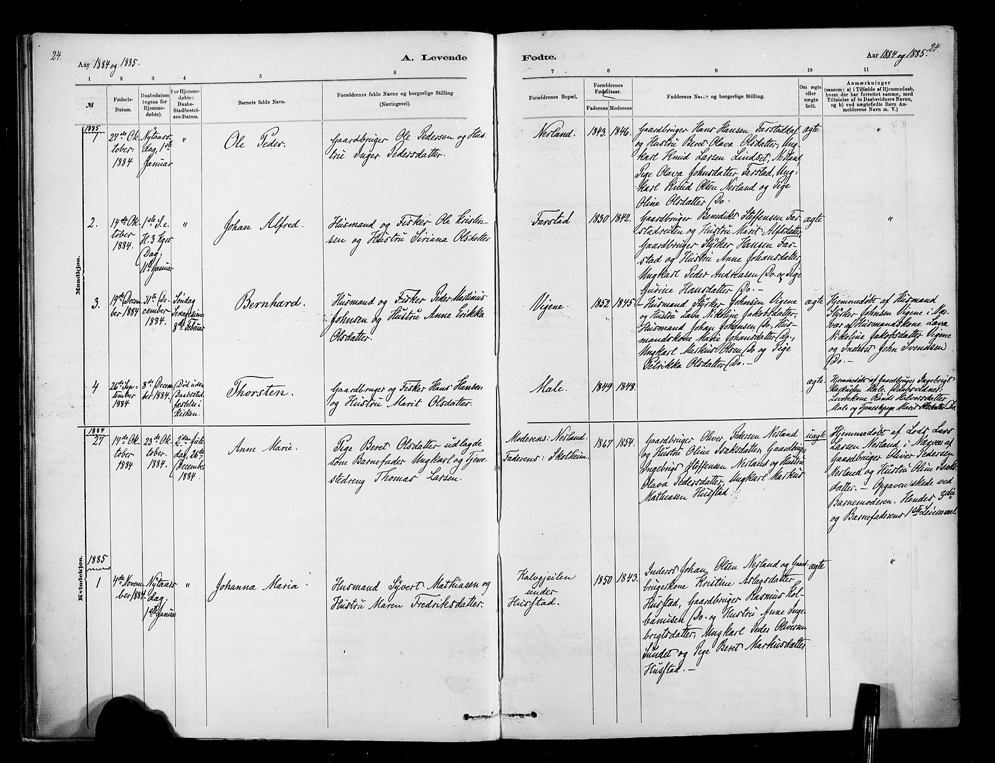 Ministerialprotokoller, klokkerbøker og fødselsregistre - Møre og Romsdal, AV/SAT-A-1454/567/L0778: Parish register (official) no. 567A01, 1881-1903, p. 24