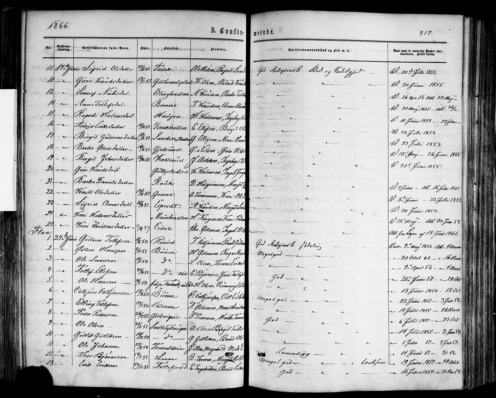 Nes kirkebøker, AV/SAKO-A-236/F/Fa/L0010: Parish register (official) no. 10, 1864-1880, p. 317