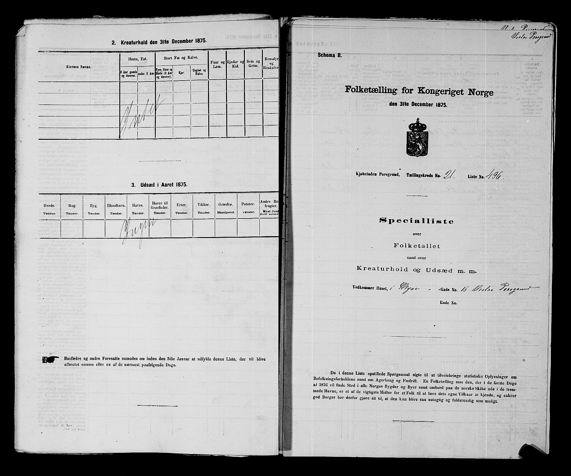 SAKO, 1875 census for 0805P Porsgrunn, 1875, p. 979