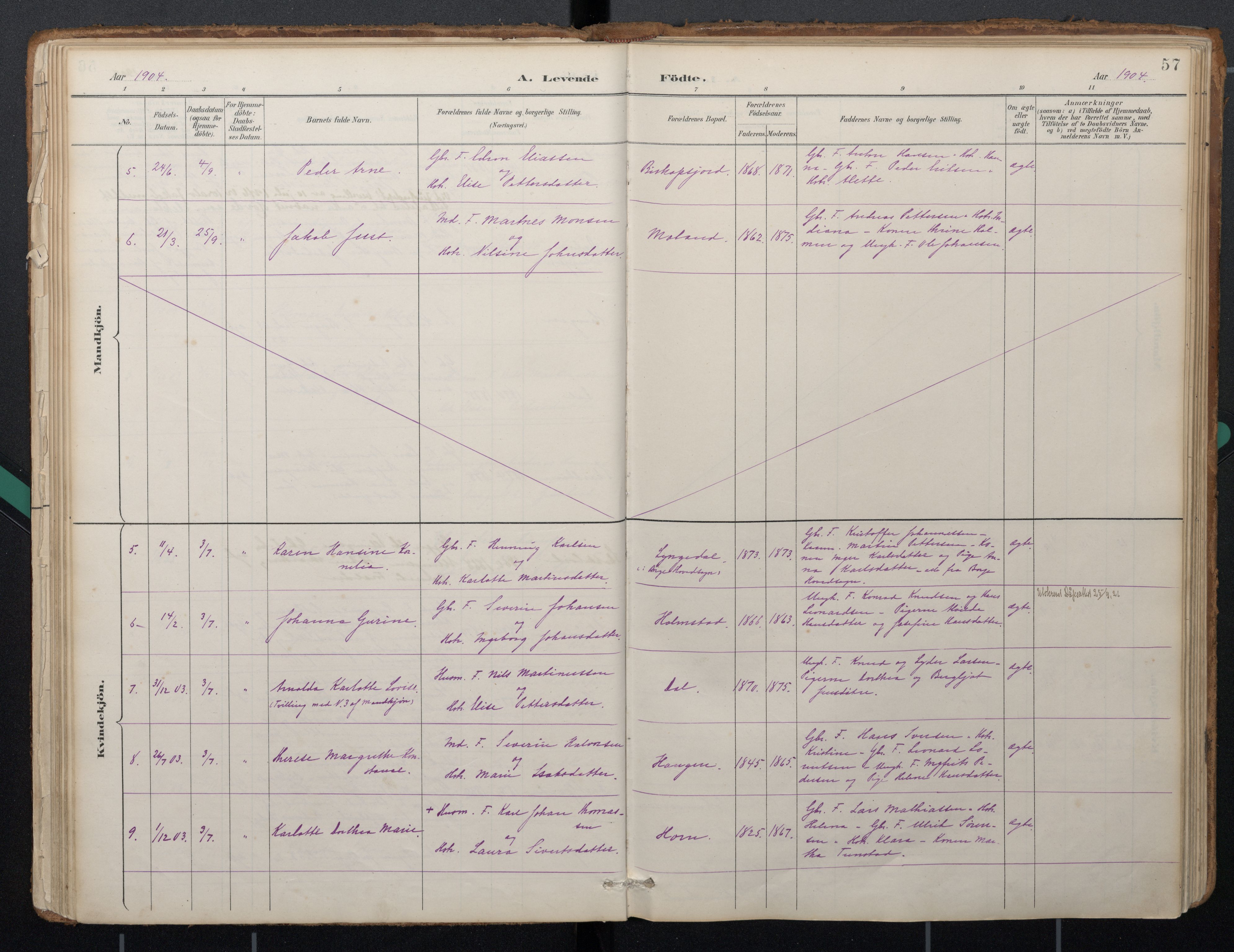 Ministerialprotokoller, klokkerbøker og fødselsregistre - Nordland, AV/SAT-A-1459/884/L1193: Parish register (official) no. 884A01, 1888-1905, p. 57