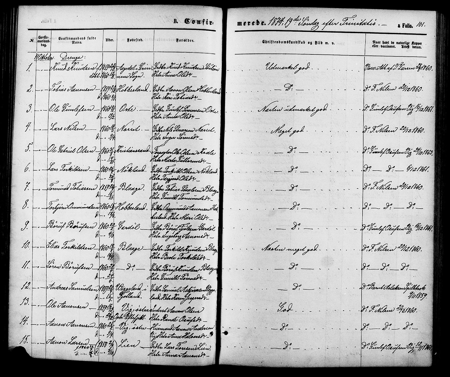 Hægebostad sokneprestkontor, AV/SAK-1111-0024/F/Fa/Fab/L0003: Parish register (official) no. A 3, 1872-1886, p. 101