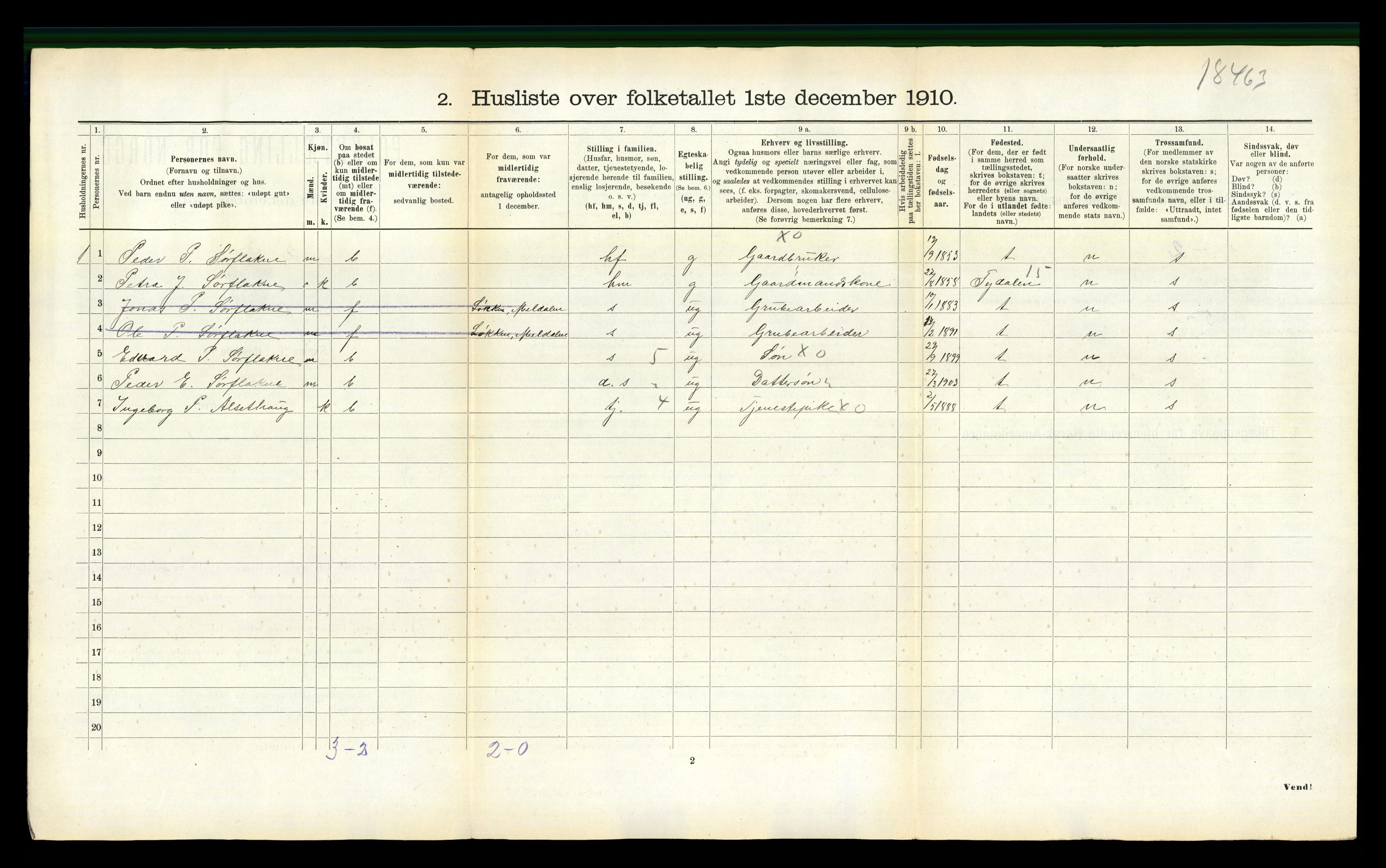 RA, 1910 census for Selbu, 1910, p. 1161