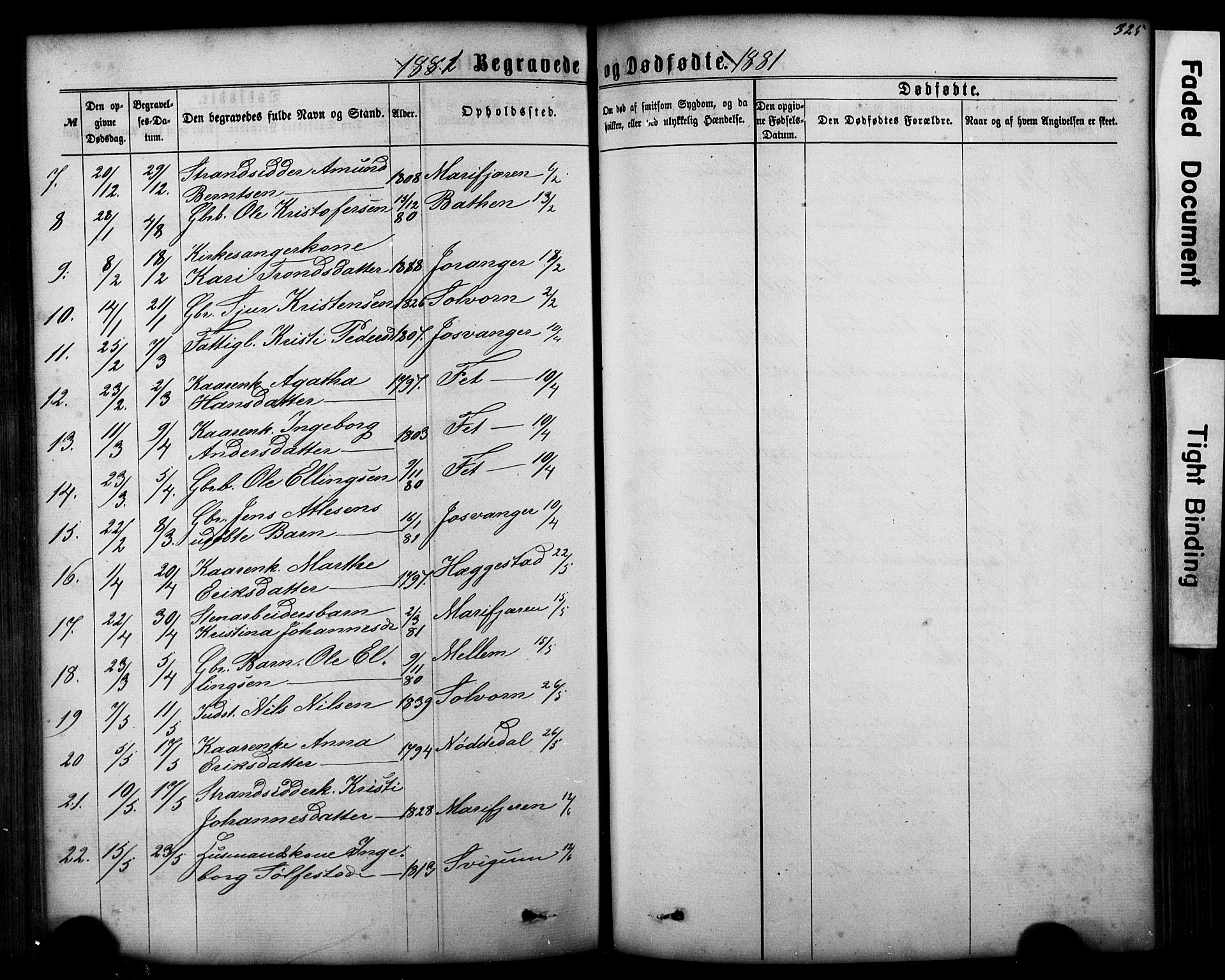 Hafslo sokneprestembete, AV/SAB-A-80301/H/Hab/Haba/L0001: Parish register (copy) no. A 1, 1866-1908, p. 325