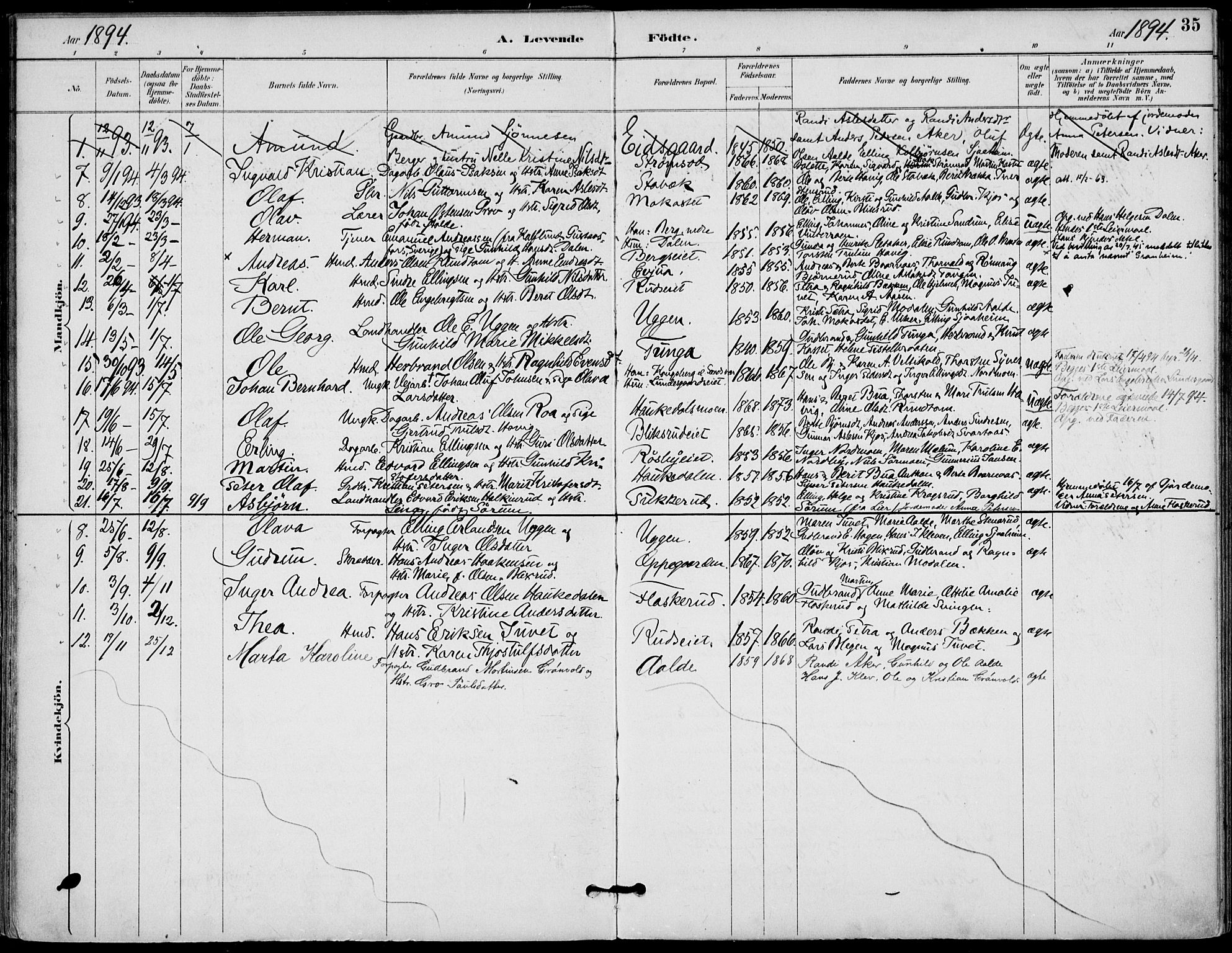 Lunder kirkebøker, AV/SAKO-A-629/F/Fa/L0001: Parish register (official) no. I 1, 1885-1912, p. 35