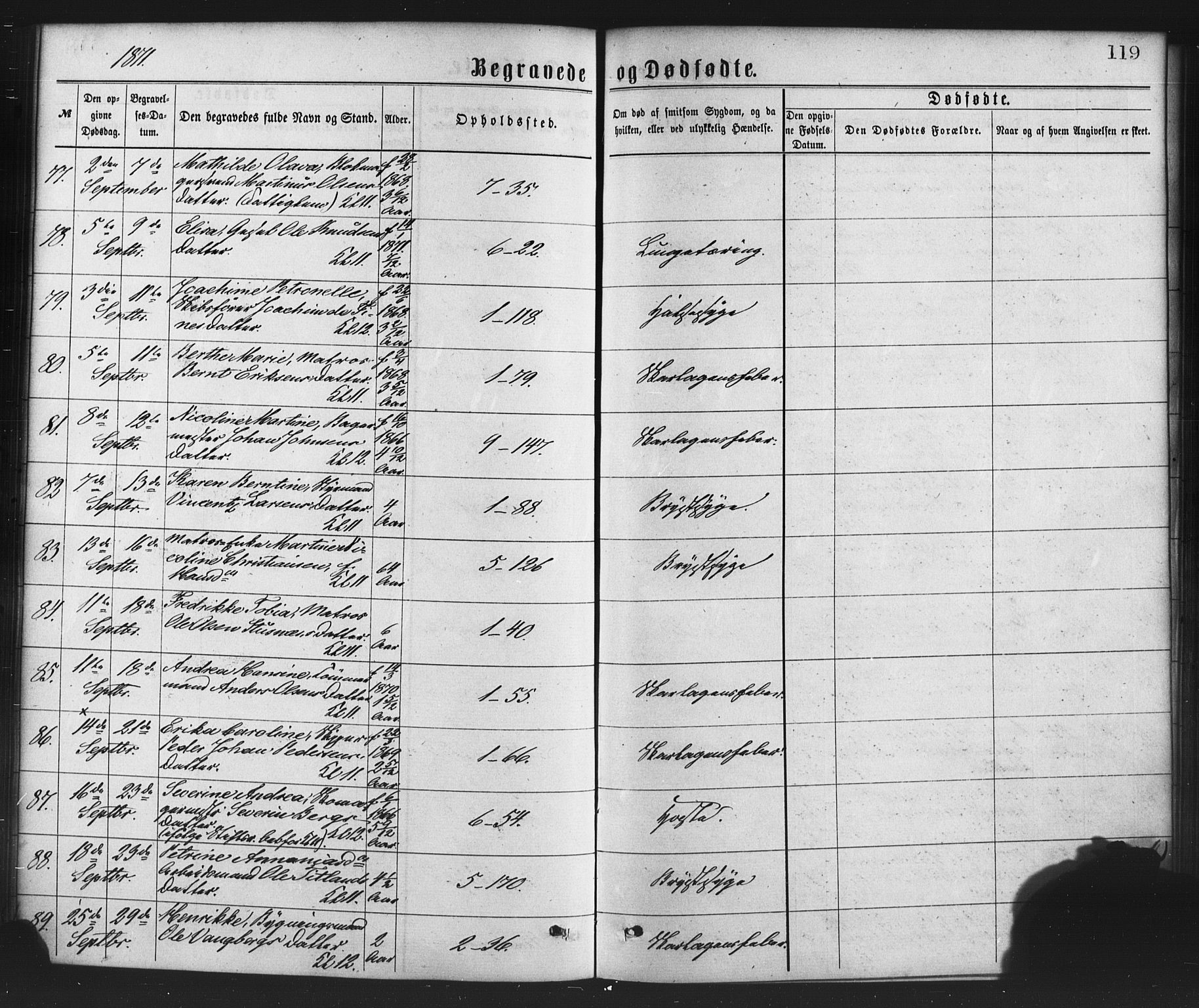 Nykirken Sokneprestembete, AV/SAB-A-77101/H/Haa/L0043: Parish register (official) no. E 3, 1869-1882, p. 119