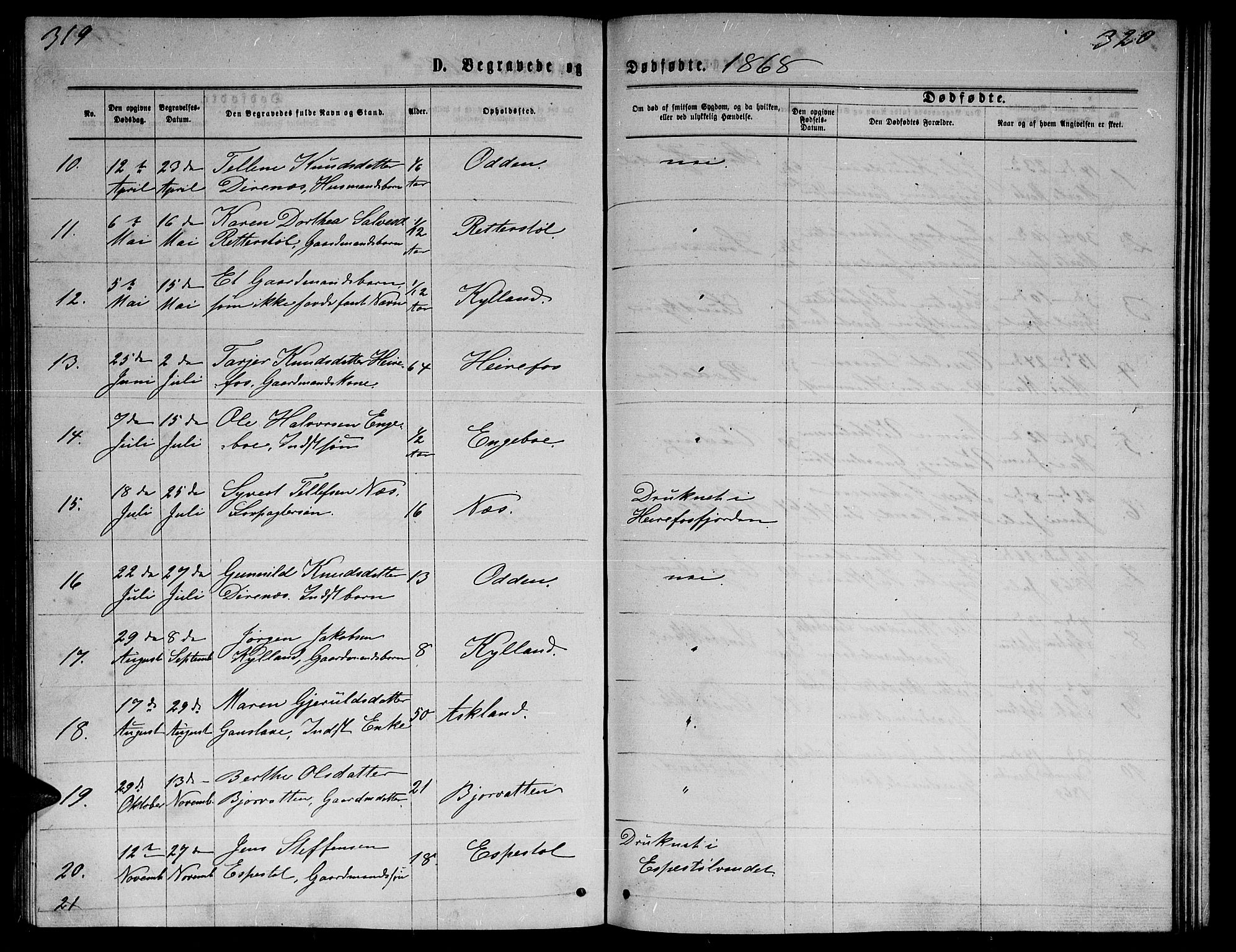 Herefoss sokneprestkontor, SAK/1111-0019/F/Fb/Fba/L0002: Parish register (copy) no. B 2, 1868-1886, p. 319-320