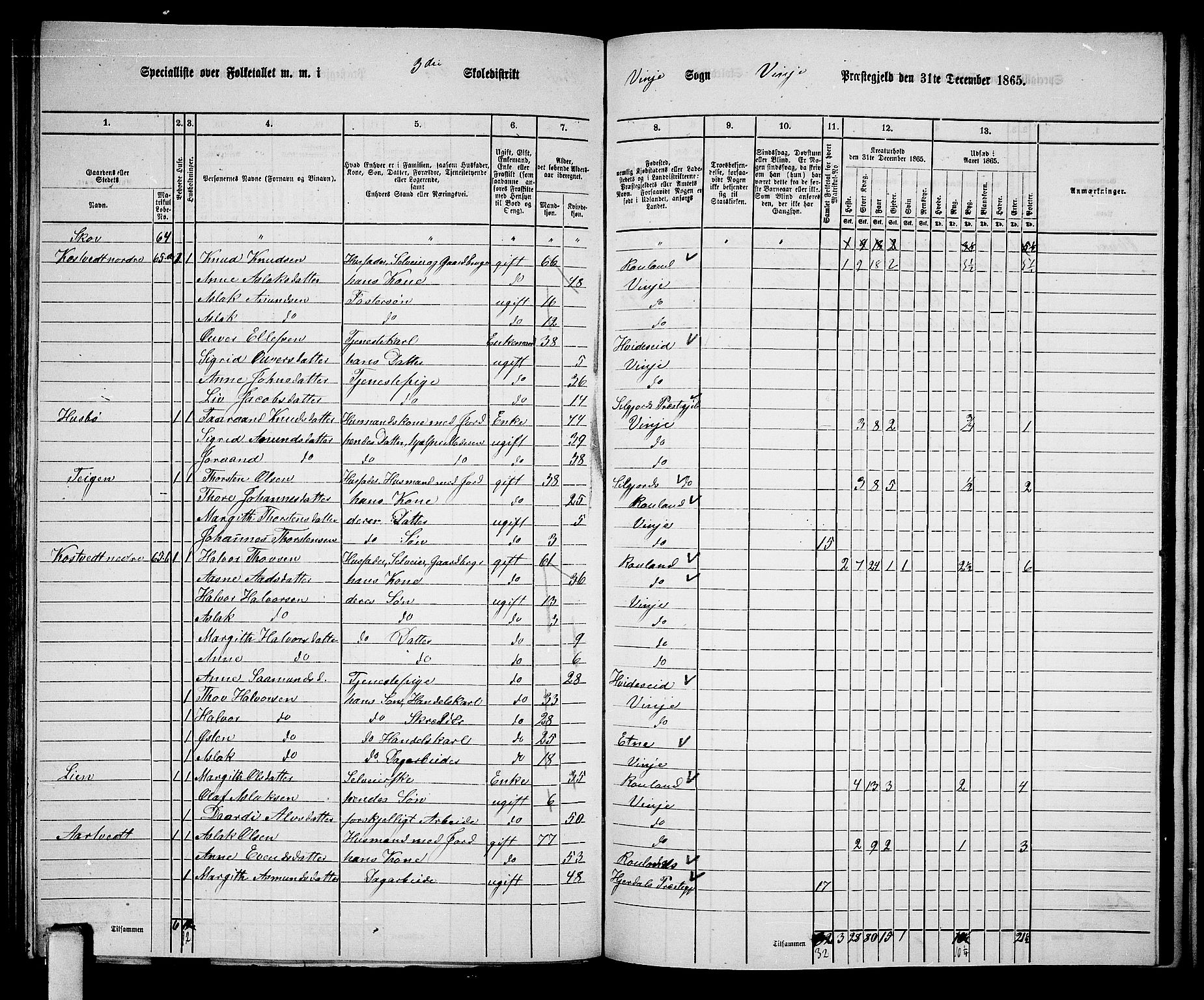 RA, 1865 census for Vinje, 1865, p. 35