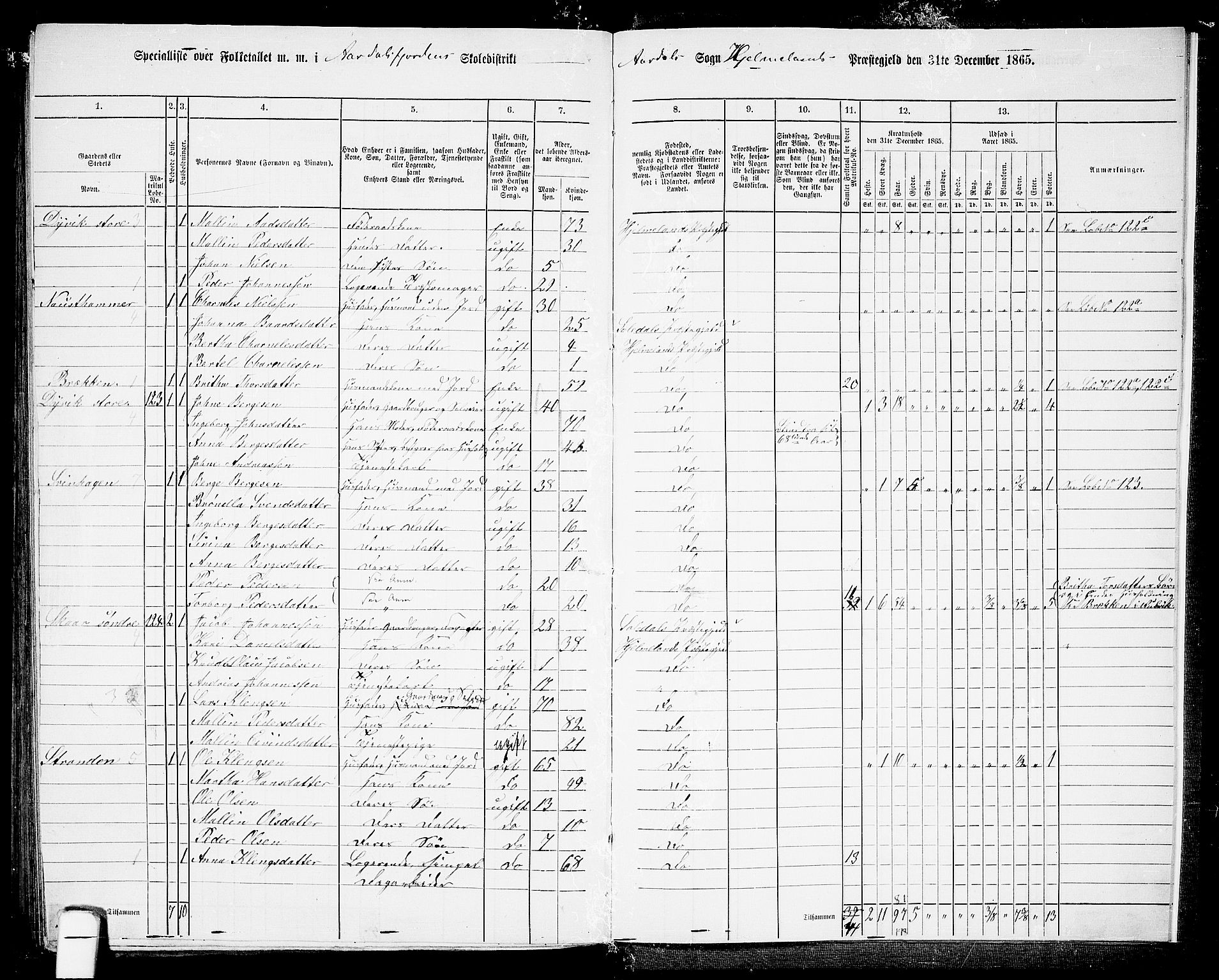 RA, 1865 census for Hjelmeland, 1865, p. 193