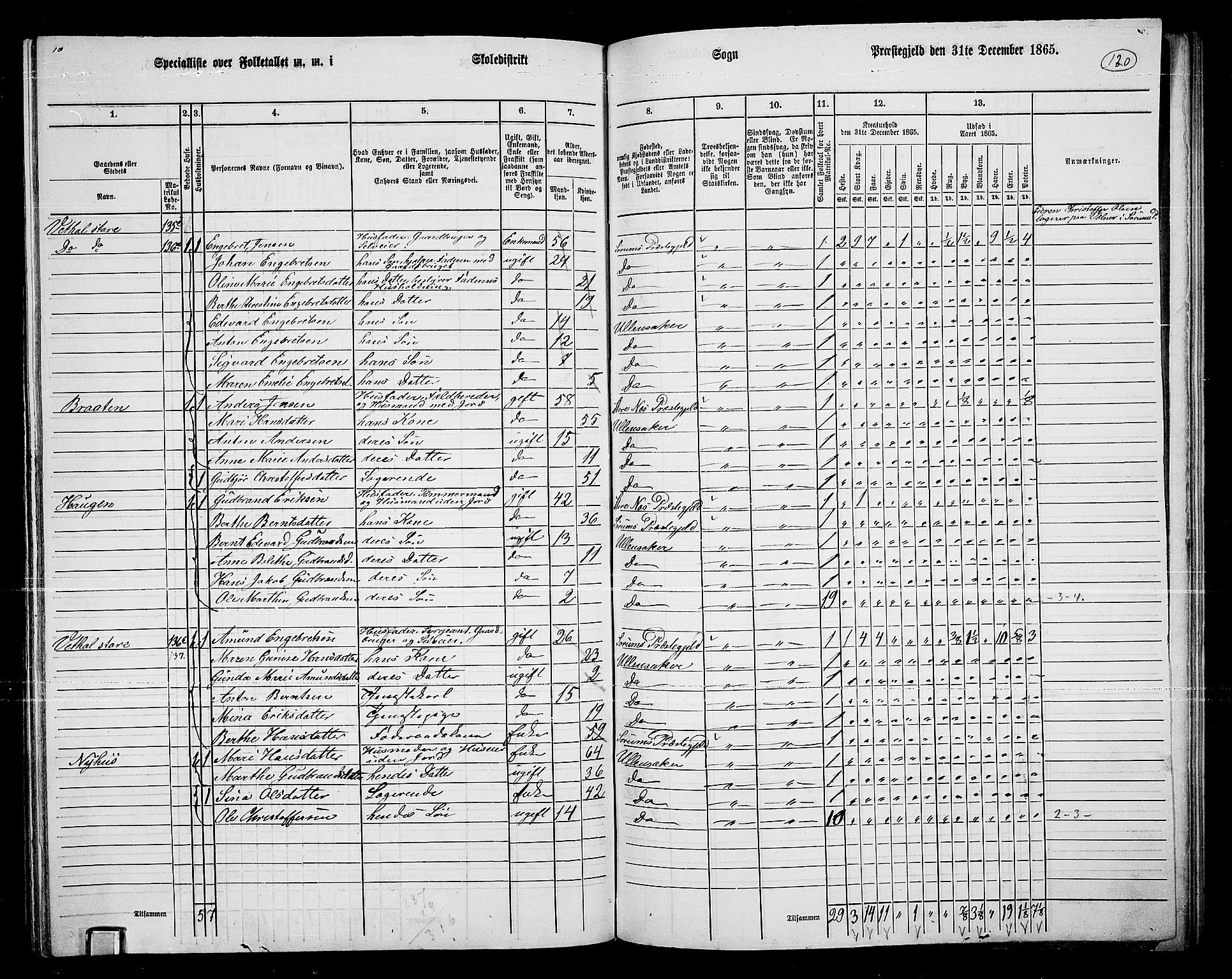 RA, 1865 census for Ullensaker, 1865, p. 114