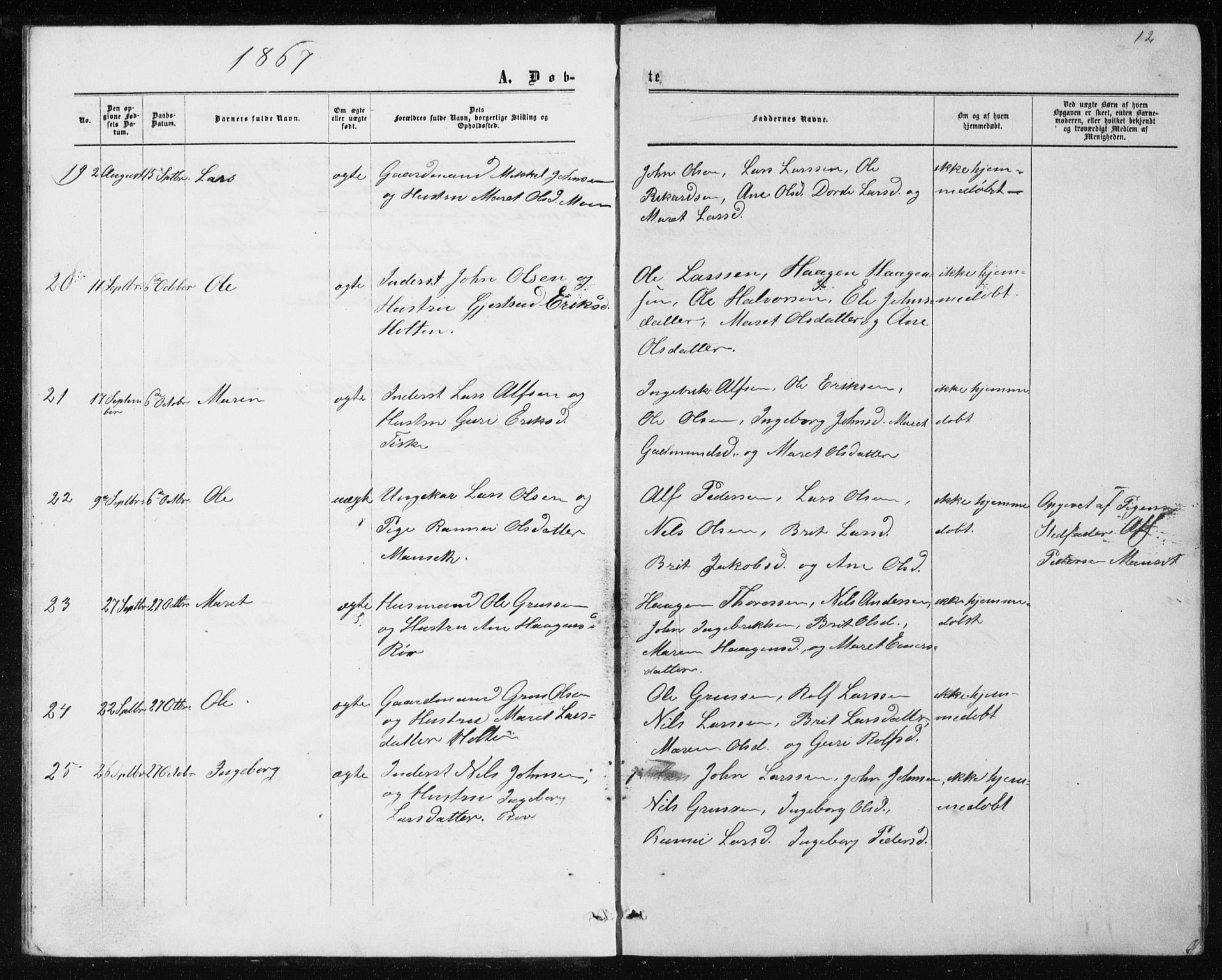 Ministerialprotokoller, klokkerbøker og fødselsregistre - Møre og Romsdal, AV/SAT-A-1454/597/L1064: Parish register (copy) no. 597C01, 1866-1898, p. 12